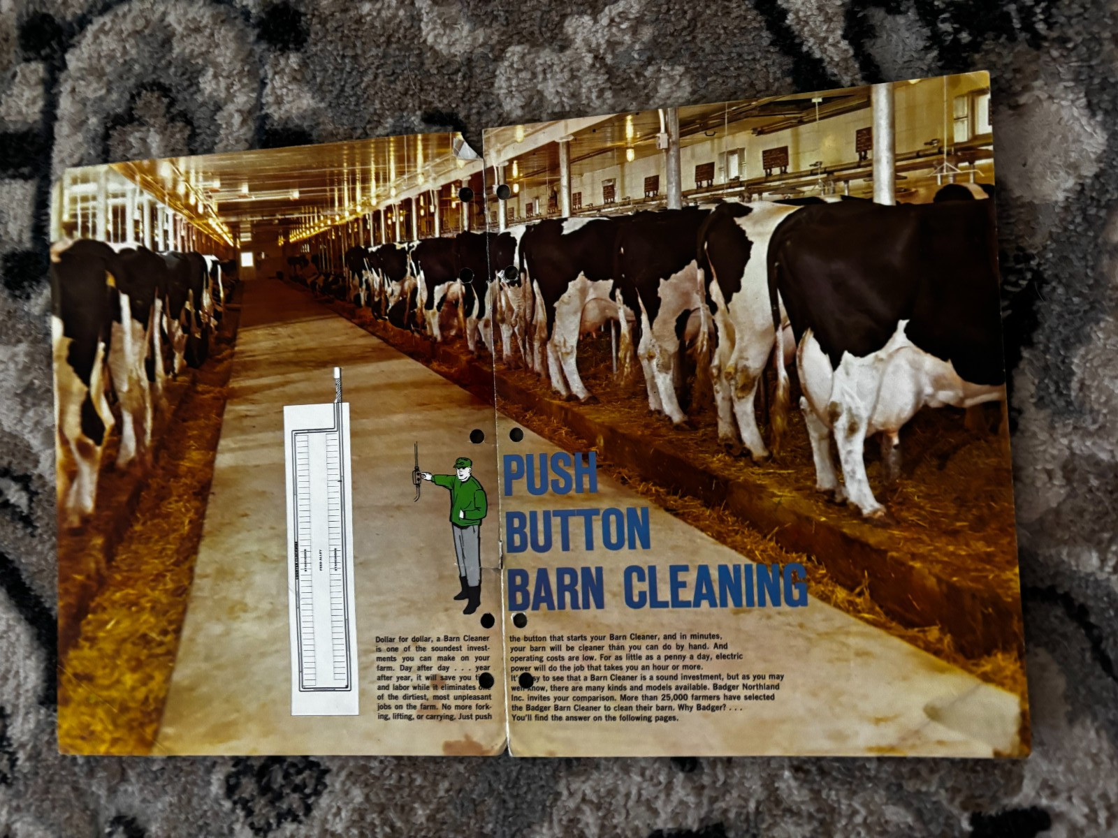 Badger Barn Cleaners For 1967 Brochure DCPA26