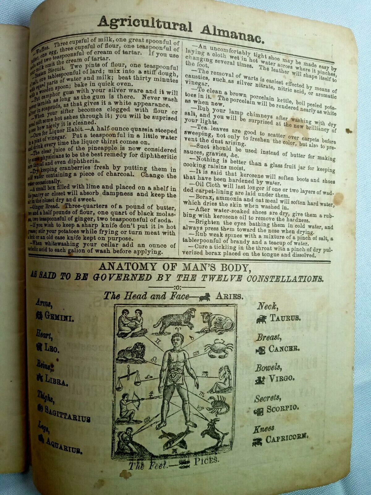 1891 John Bear Baer’s Agricultural Almanac Lancaster, PA Antique Farmers Vintage