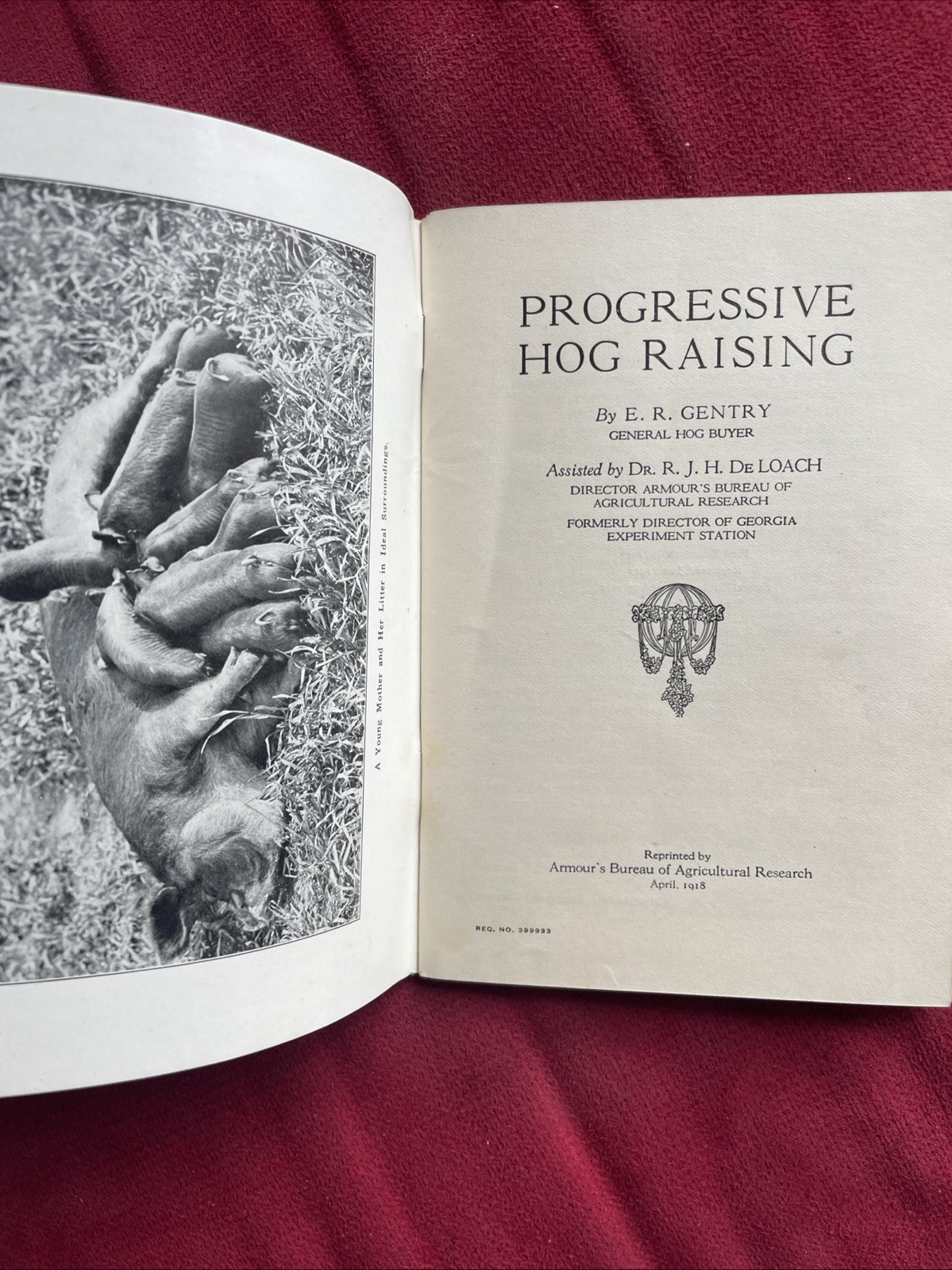 Progressive Hog Raising Booklet 1918 Vintage Original