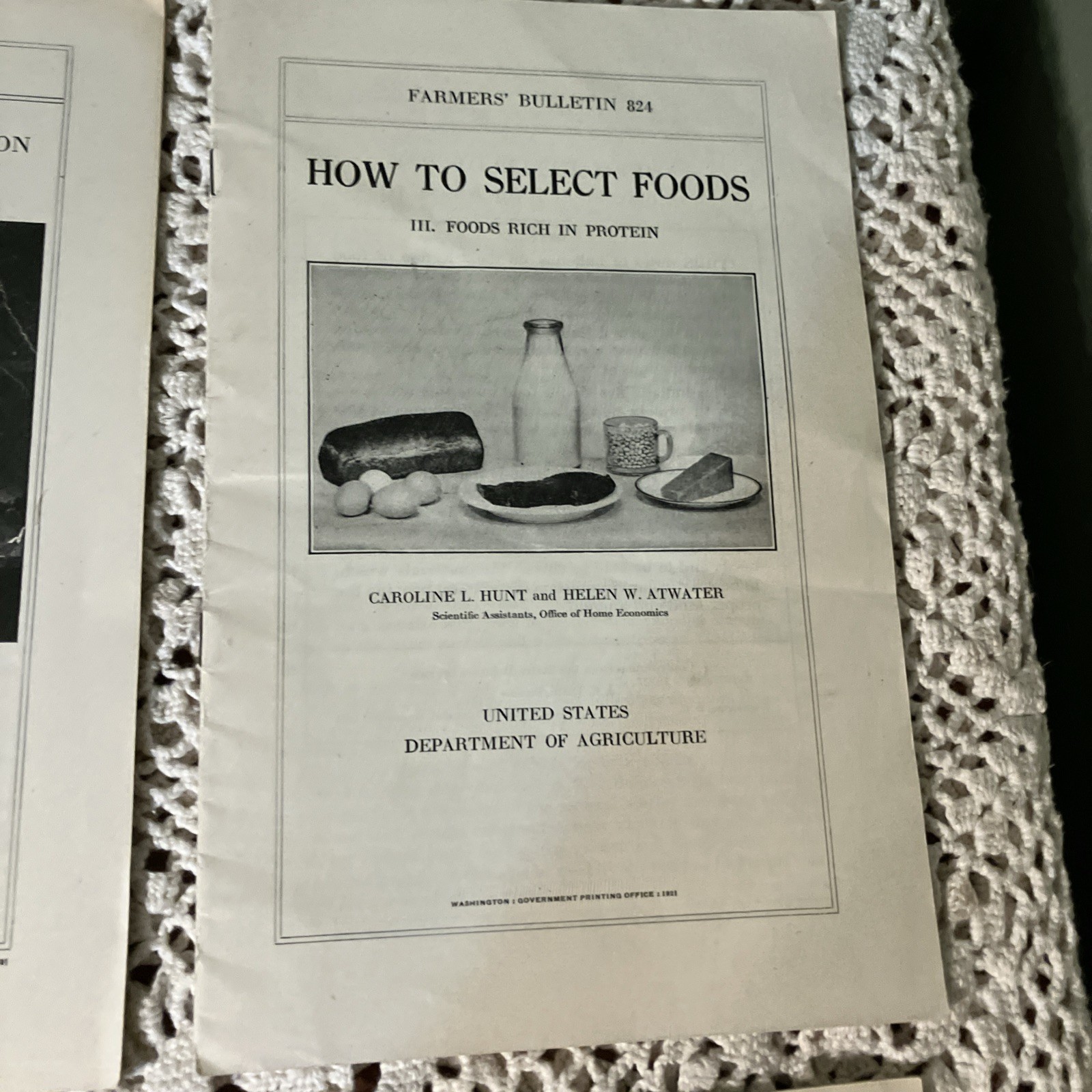 Department of Agriculture Antique 1919 & 20’s Bulletin’s Pamphlet’s Lot 6-B