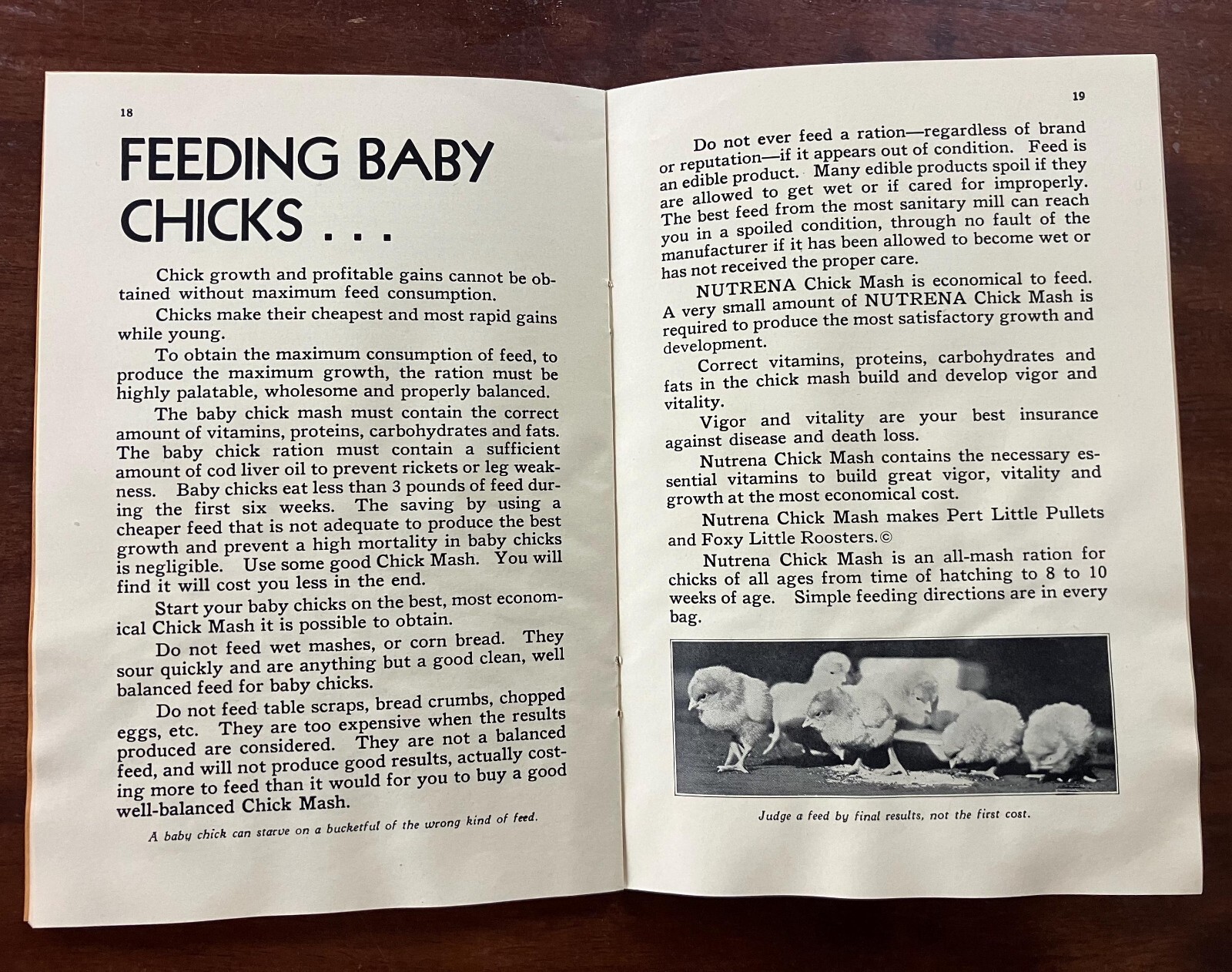 1920’s-30’s Chick Raising Secret for Average Folks Booklet by Nutrena Mills, Inc