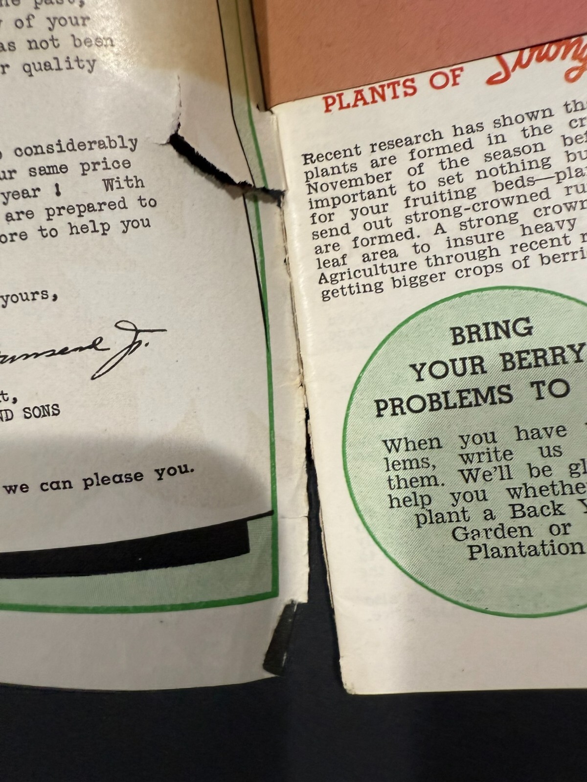 1934-39 Townsend’s & South Michigan Fruit, Flowers, Seed Brochures…..2 Items