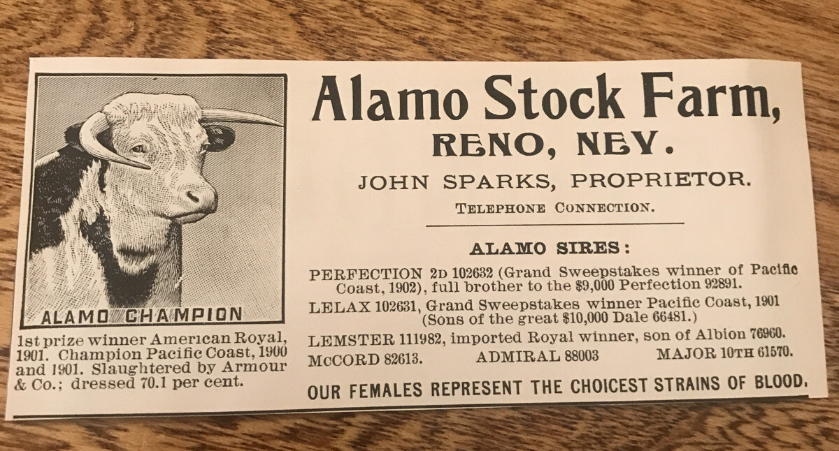 1903 Alamo Stock Farm Cattle Cow Advertising – Reno – Nevada