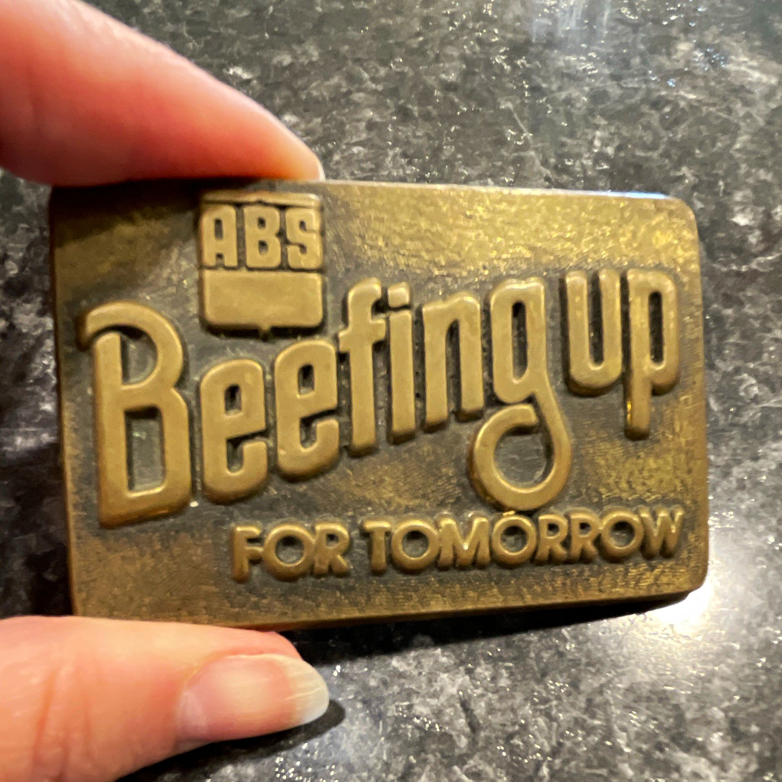 70’s ABS “Beefing Up for Tomorrow” Solid Brass Gold Belt Buckle AgricultureTheme