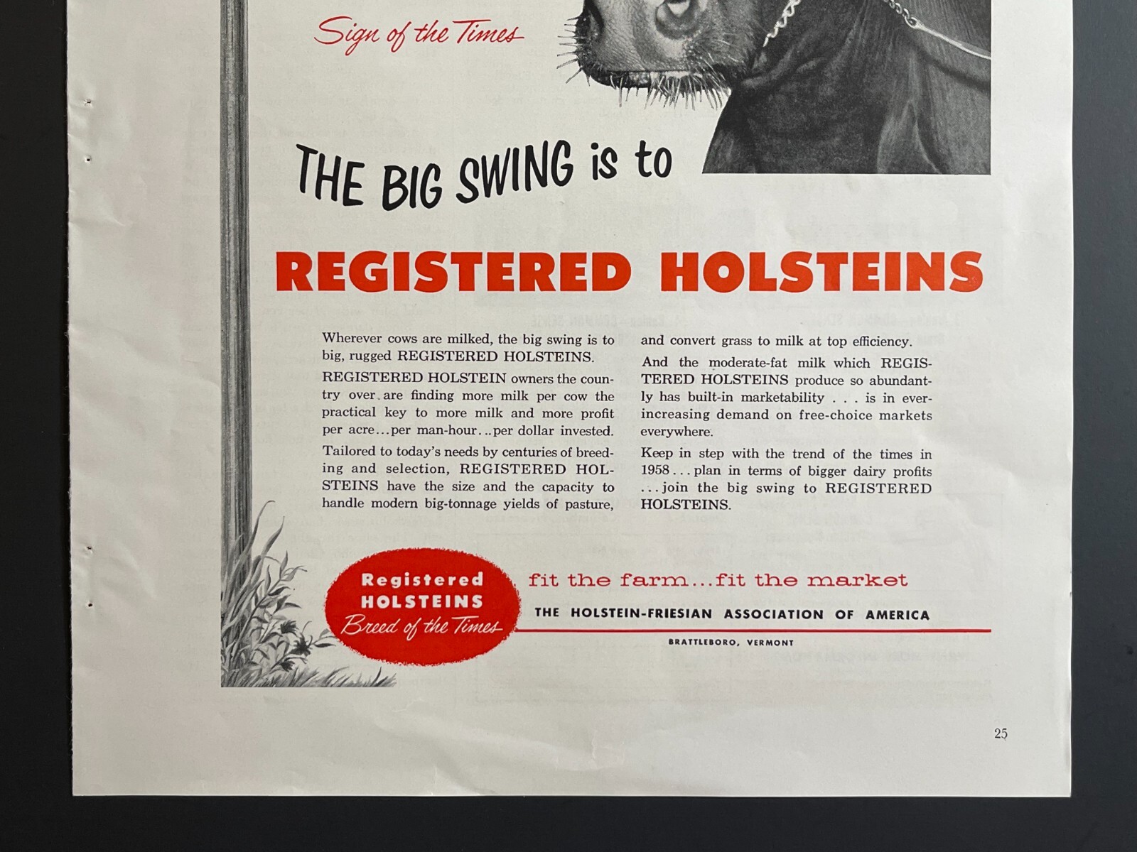 1950s “Milk” Registered Holsteins -Original Print Advertisement (9.5in x 13in)