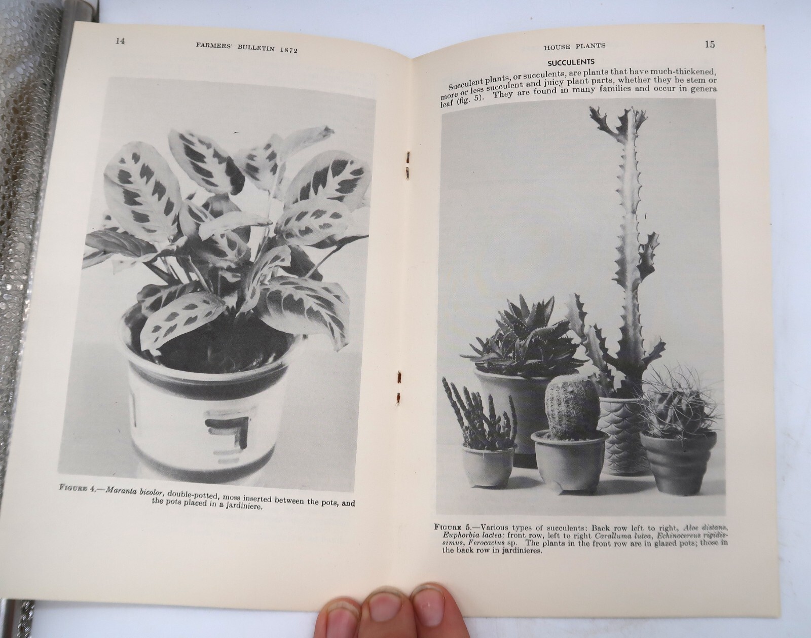 1941 USDA Farmers’ Bulletin No. 1872 House Plants Ephemera Furman Lloyd Mulford
