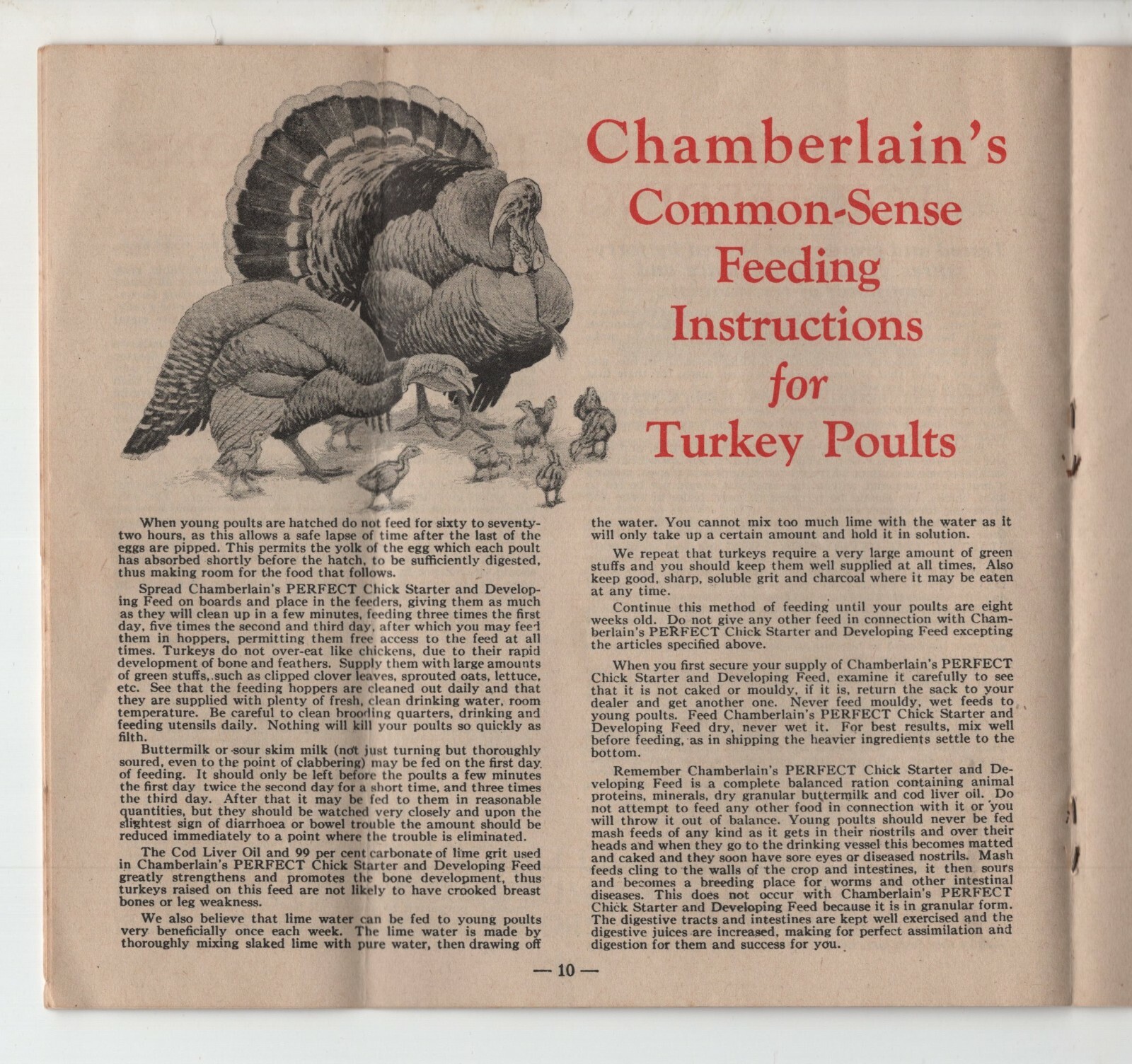 1928 Chamberlain’s Chick Starter Booklet – Haug Department Stores, Spillville IA