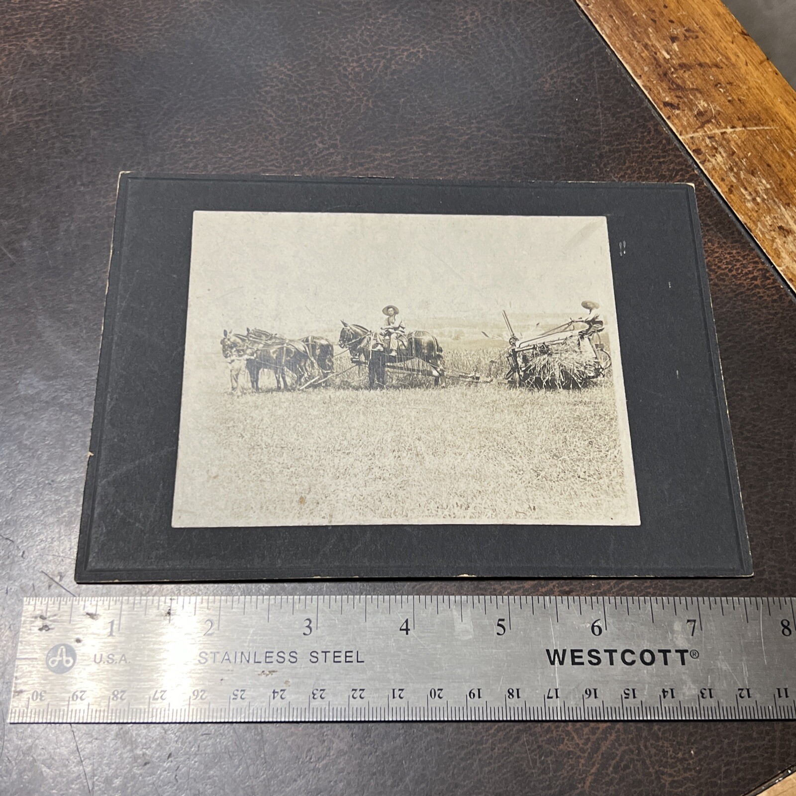 Vintage 1800s Farming Farm Implement Photograph