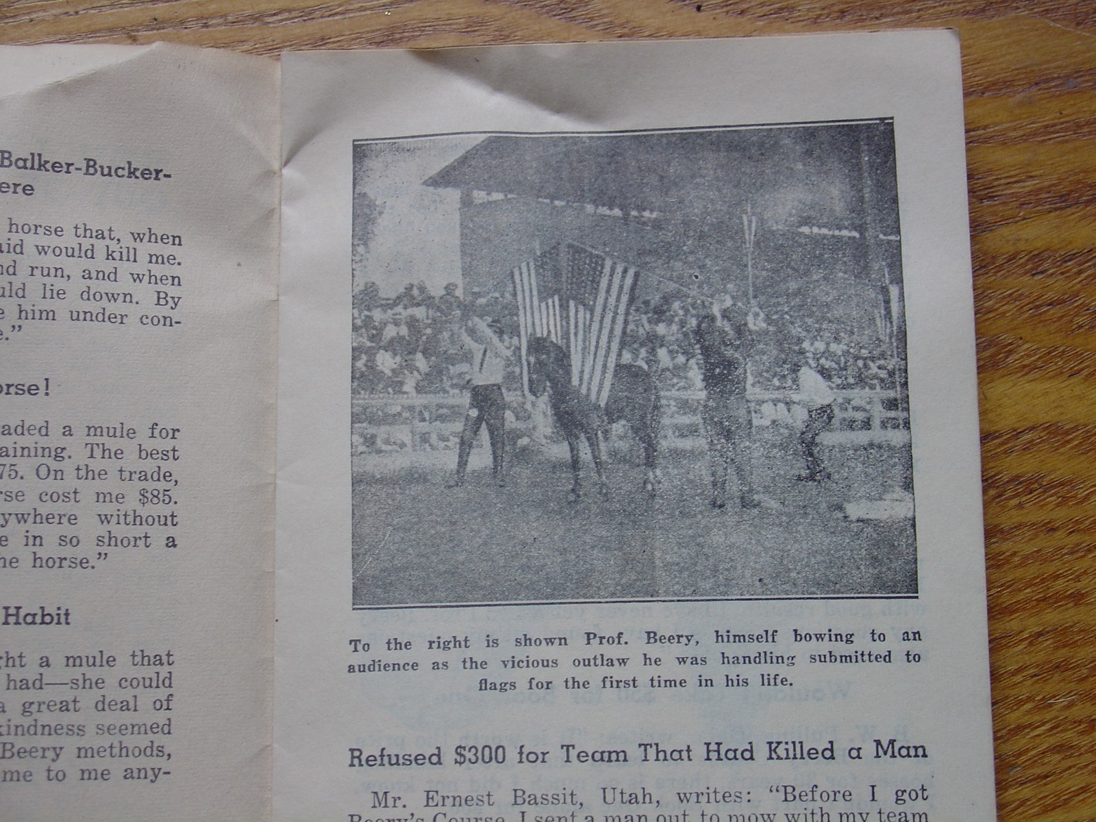 Vintage Antique Advertising Trick Horse Training Brochure Pamphlet Ornery Horses