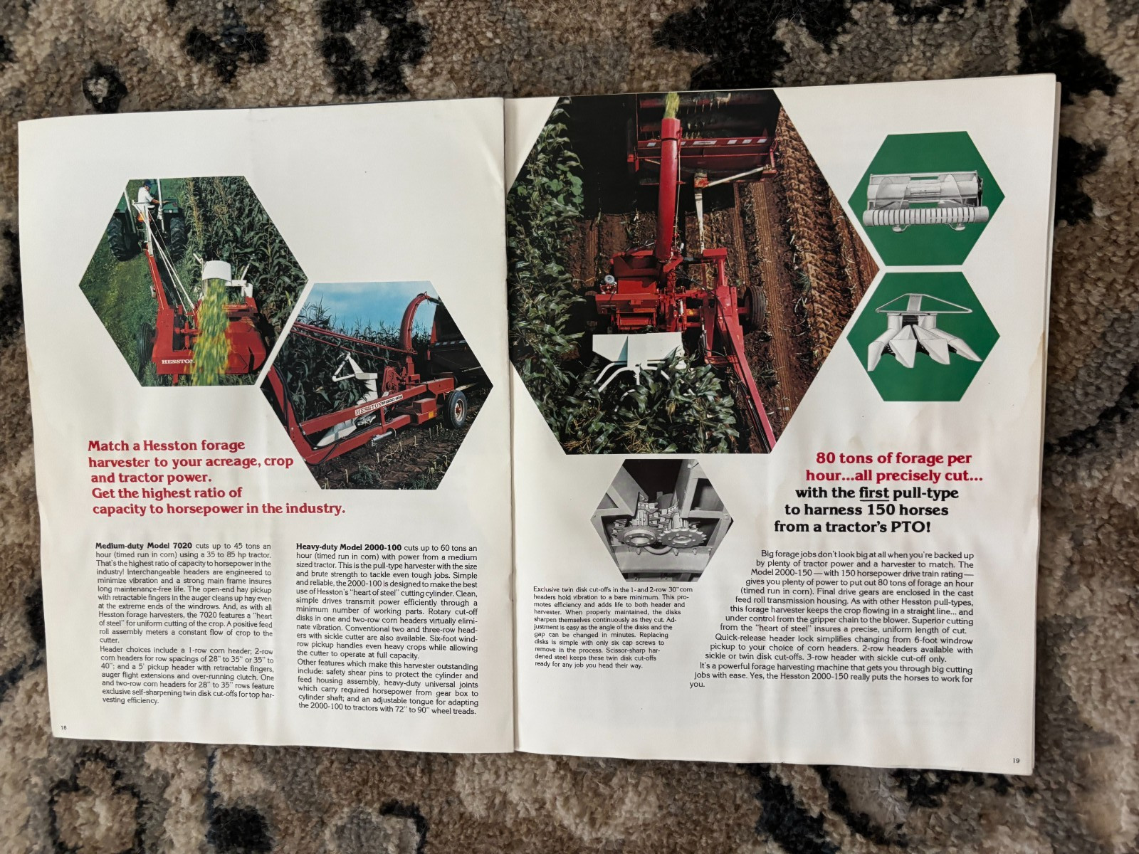 Hesston Buyers For 1974 Brochure DCPA26