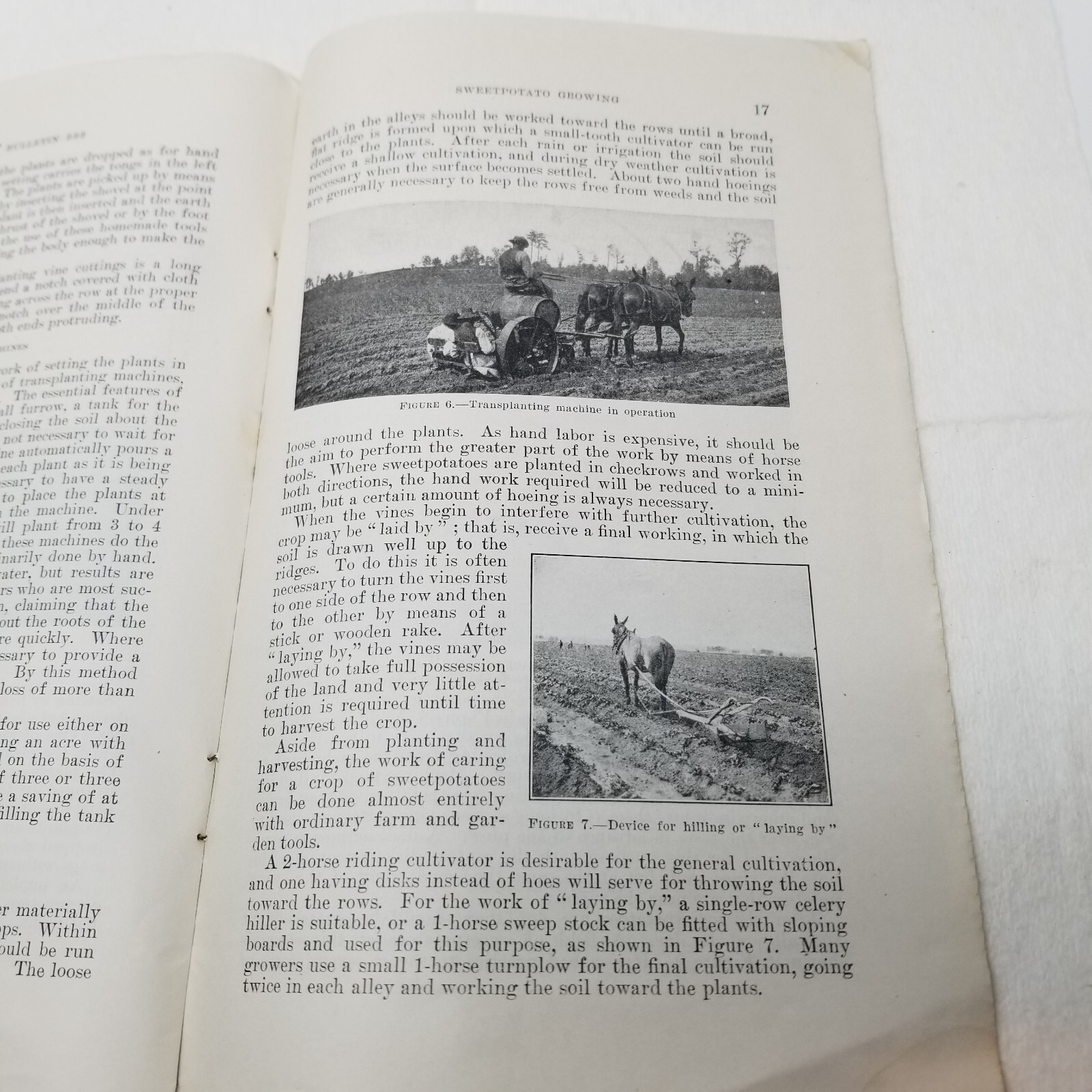 Sweet Potato Growing 1940 Farmers’ Bulletin Booklet 999 USDA Photos Charts