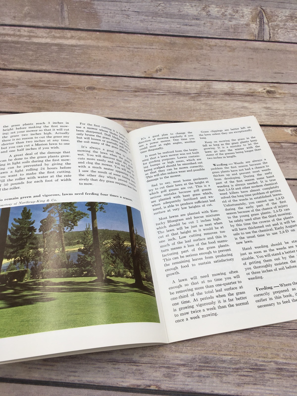 Vintage 1965 Better Lawns Pamphlet Booklet Sold Bolens Authorized Dealers