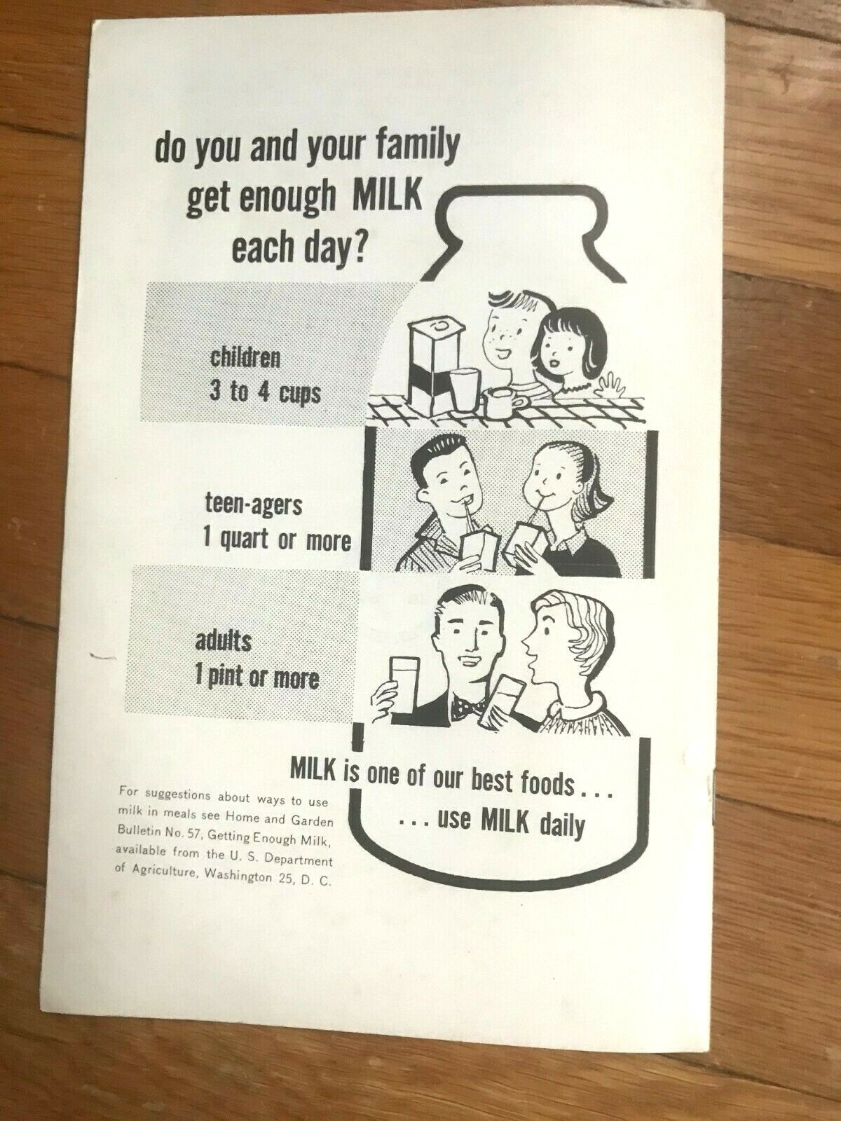 Vtg Wood Decay in Houses US Dept of Agriculture 1960s Booklet #73 – A52