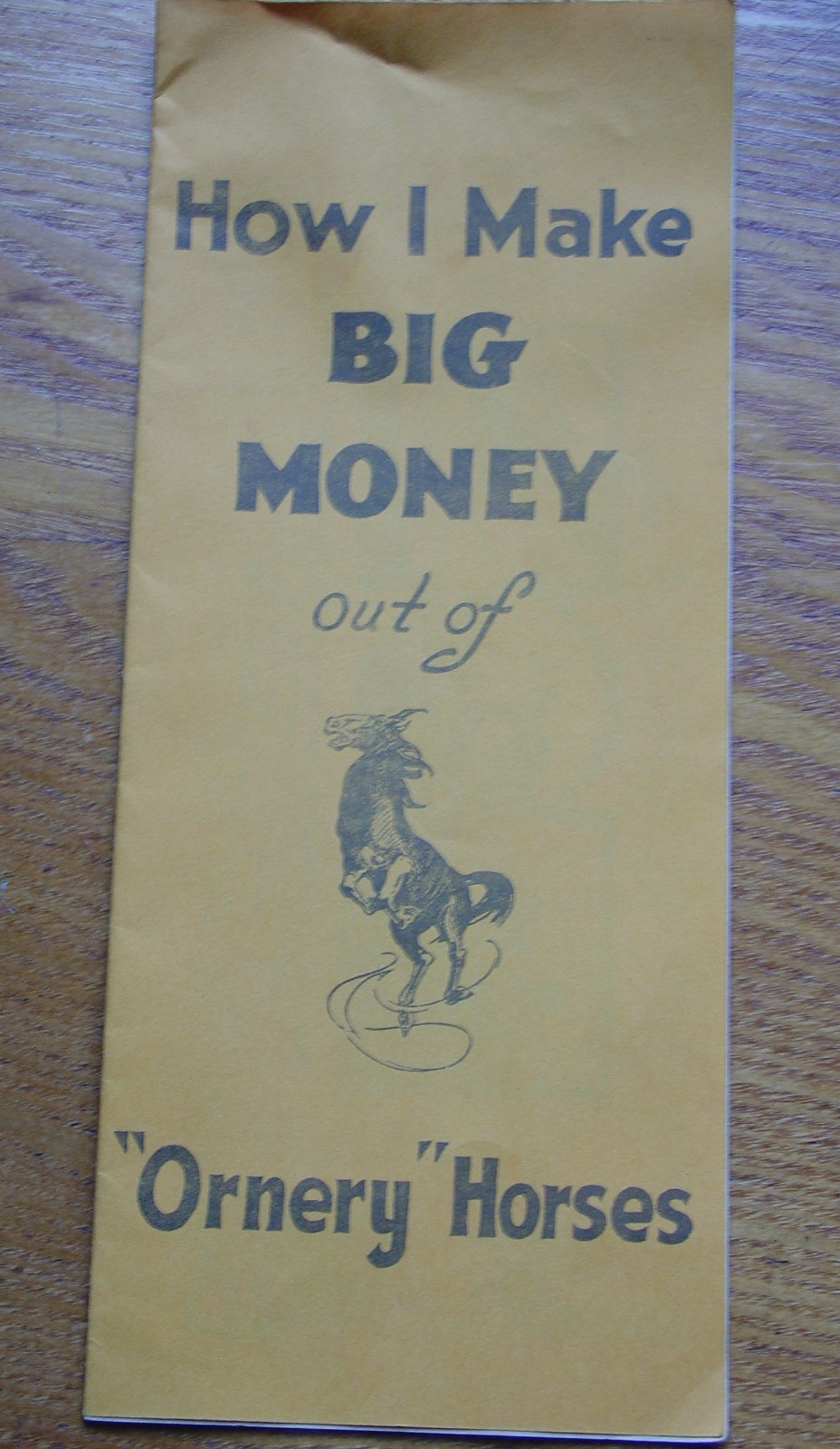 Vintage Antique Advertising Trick Horse Training Brochure Pamphlet Ornery Horses