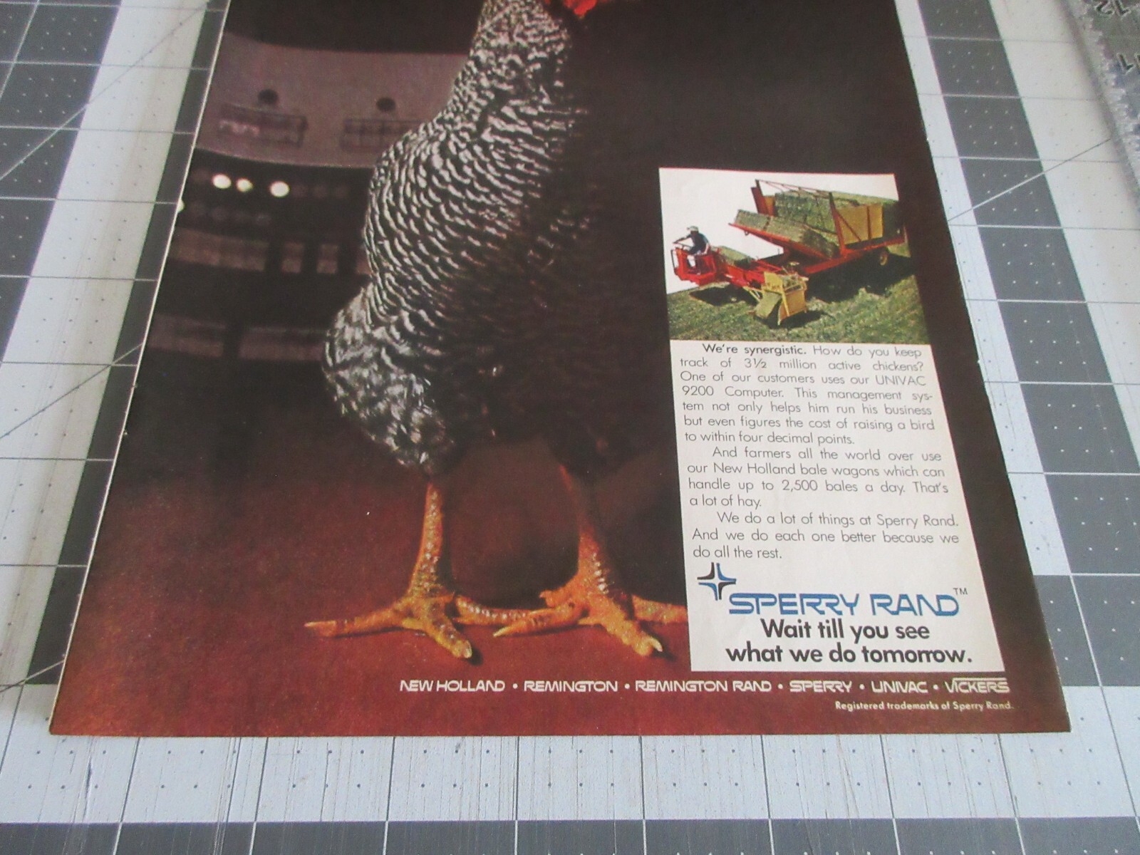 1970 Sperry Rand “One Day We Count Chickens. The Next Day We Make Hay” Print Ad