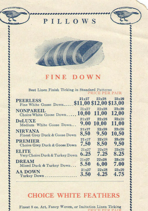 VINTAGE 1928 PILLOW & BULK FEATHER BROCHURE W/PRICES! TURKEY, GOOSE, DUCK DOWN!