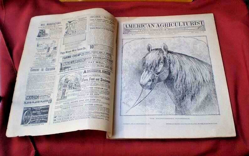 Antique American Agriculturist License Plate and Rare Magazine-1800’s