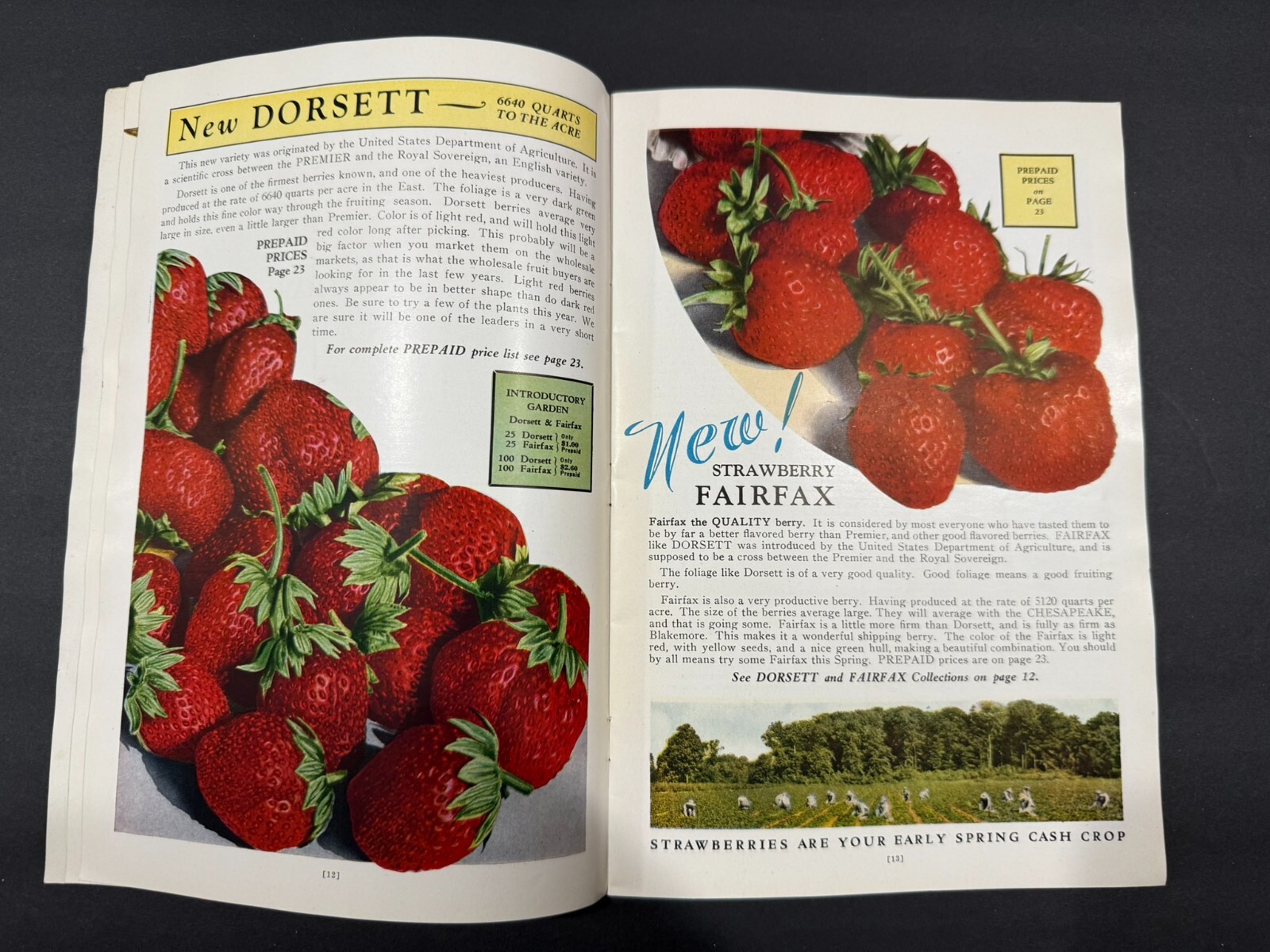 1934-39 Townsend’s & South Michigan Fruit, Flowers, Seed Brochures…..2 Items