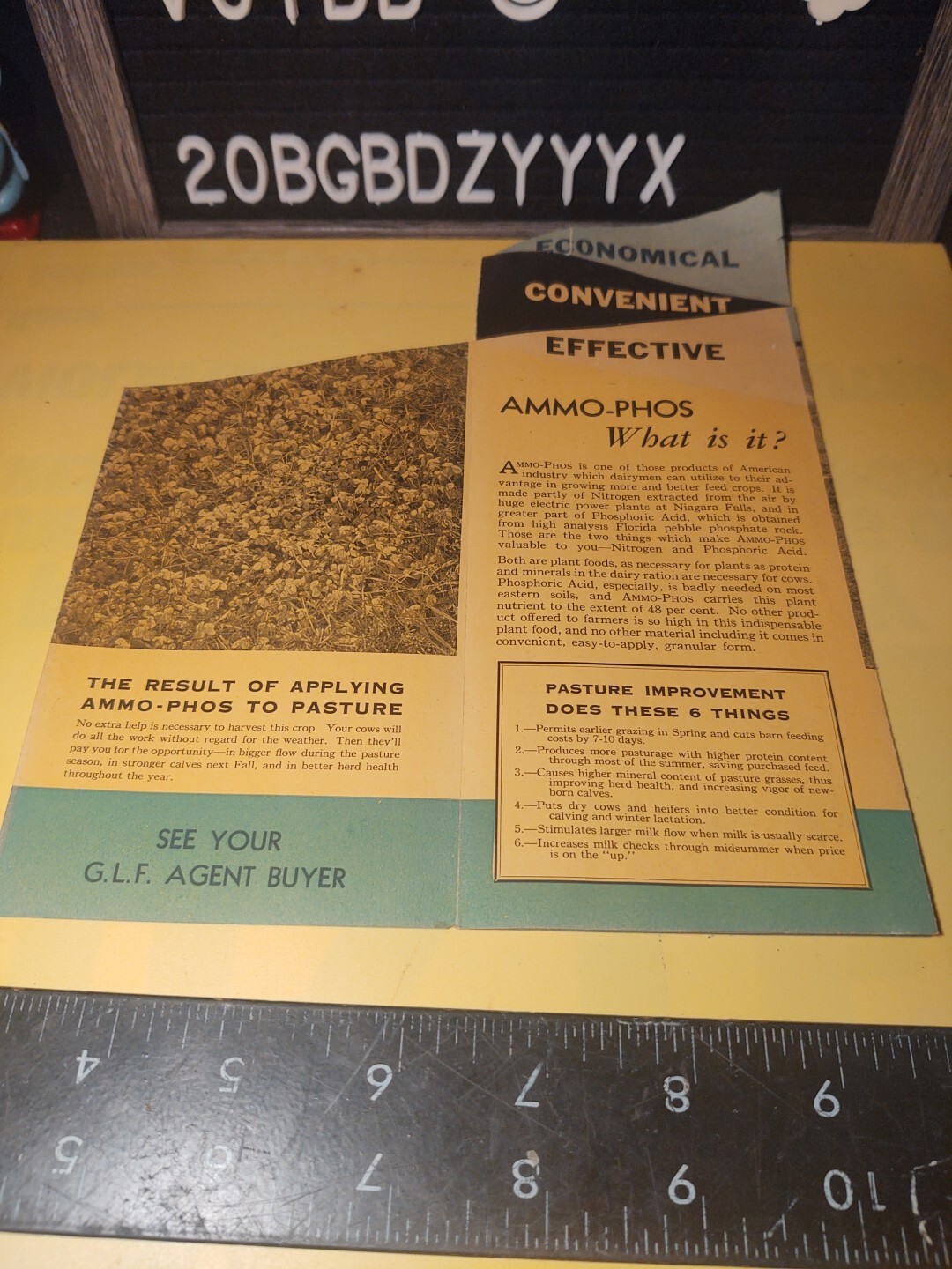 VTG Ammo-phos AMERICAN CYANAMID NYC Fertilizer Dairy Farming Print ADVERTISING