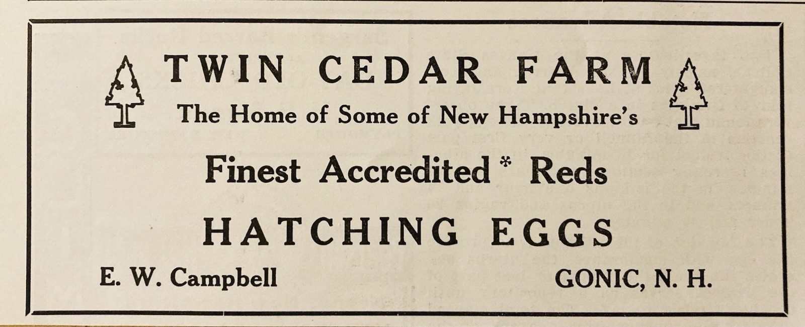 1934 AD.(XH82)~TWIN CEDAR FARM, GONIC, NH. HATCHING EGGS