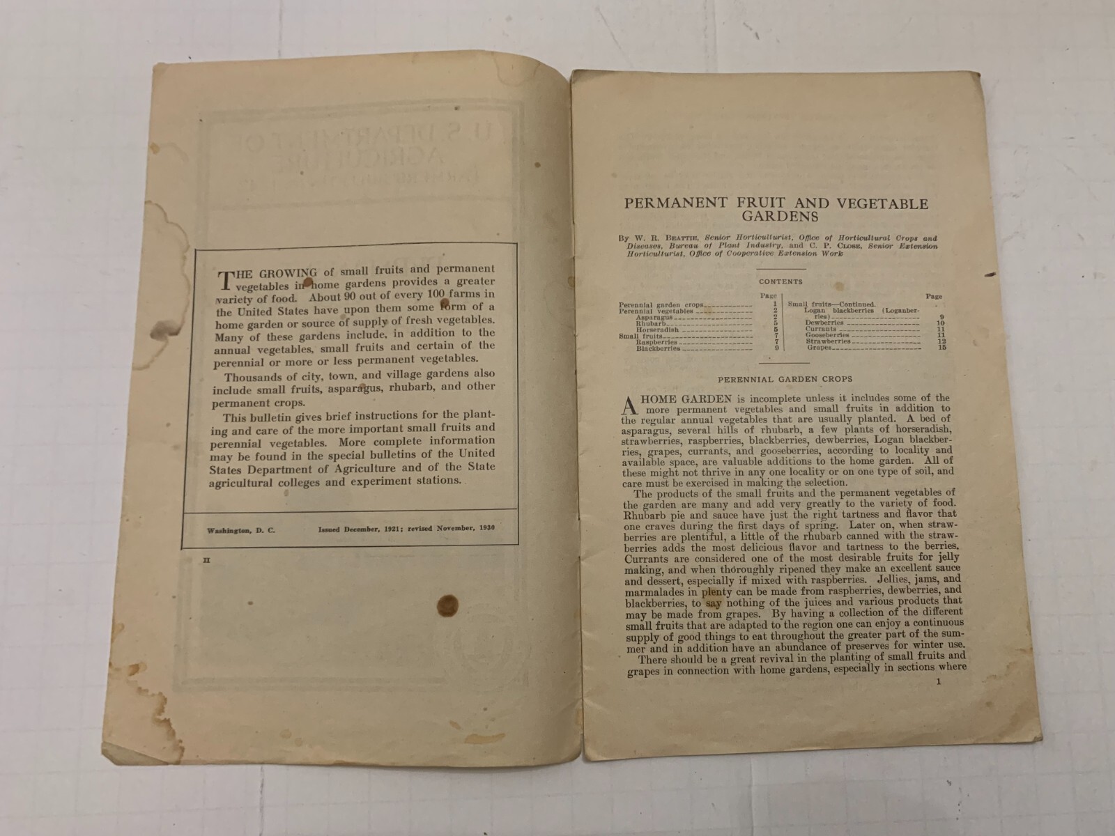 1930 US Department Of Agriculture Bulletin Permanent Fruit and Vegetable Gardens