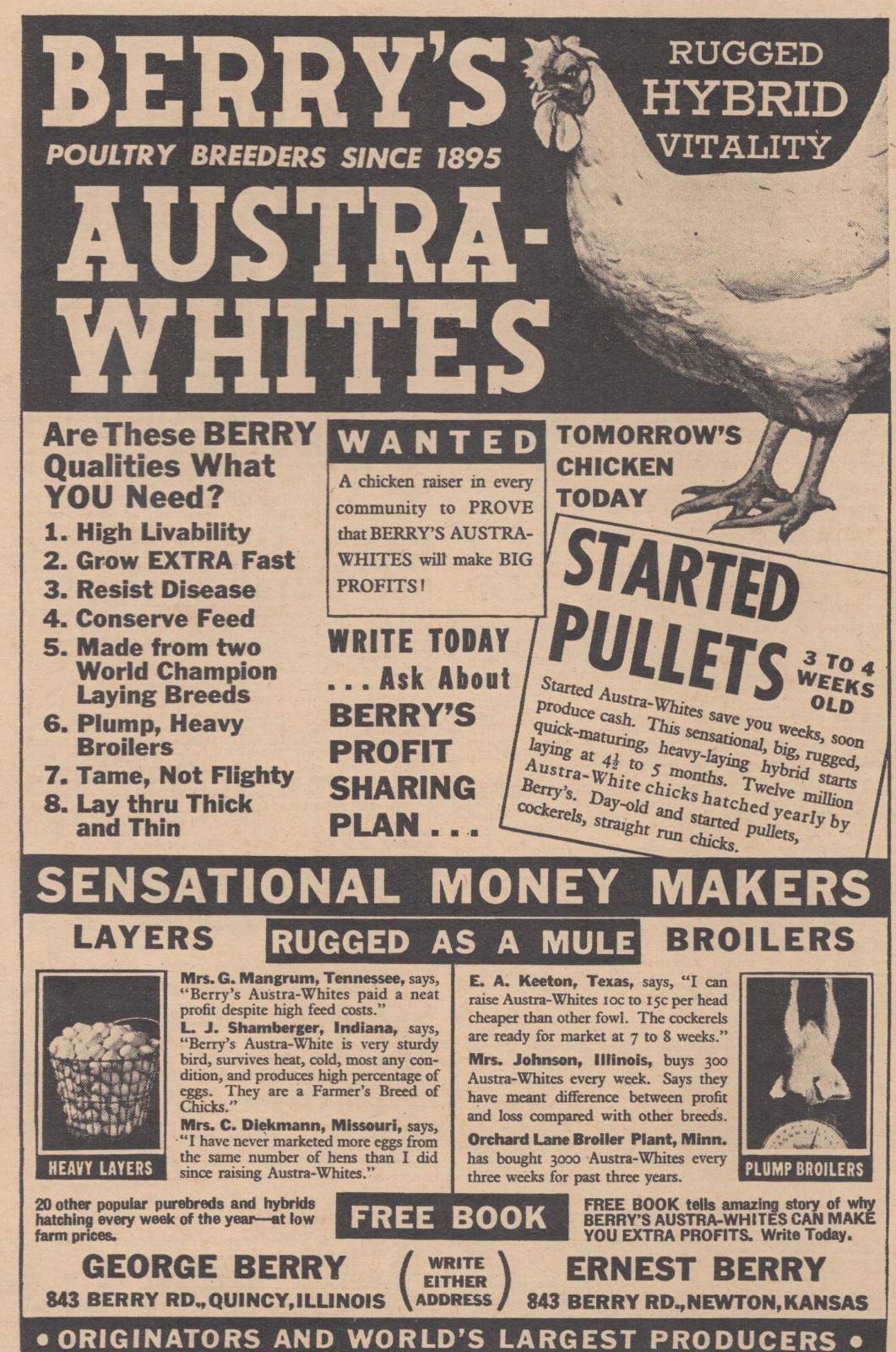 Vintage 1946 Berry’s Austra Whites Chicken Quincy IL Newton KS Farming Print Ad