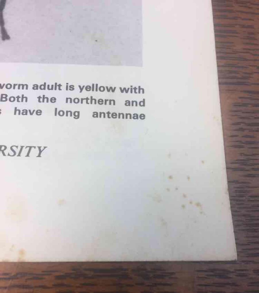 Vintage 1973 Corn Rootworm MSU Extension Service Insect & Pest Control 4 pg bklt