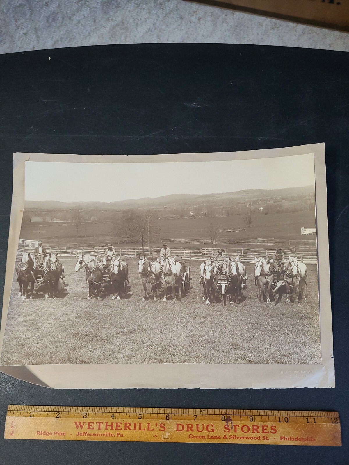 Vintage 1800s 5 Farmers & Horse Wagons Photo Newark NJ