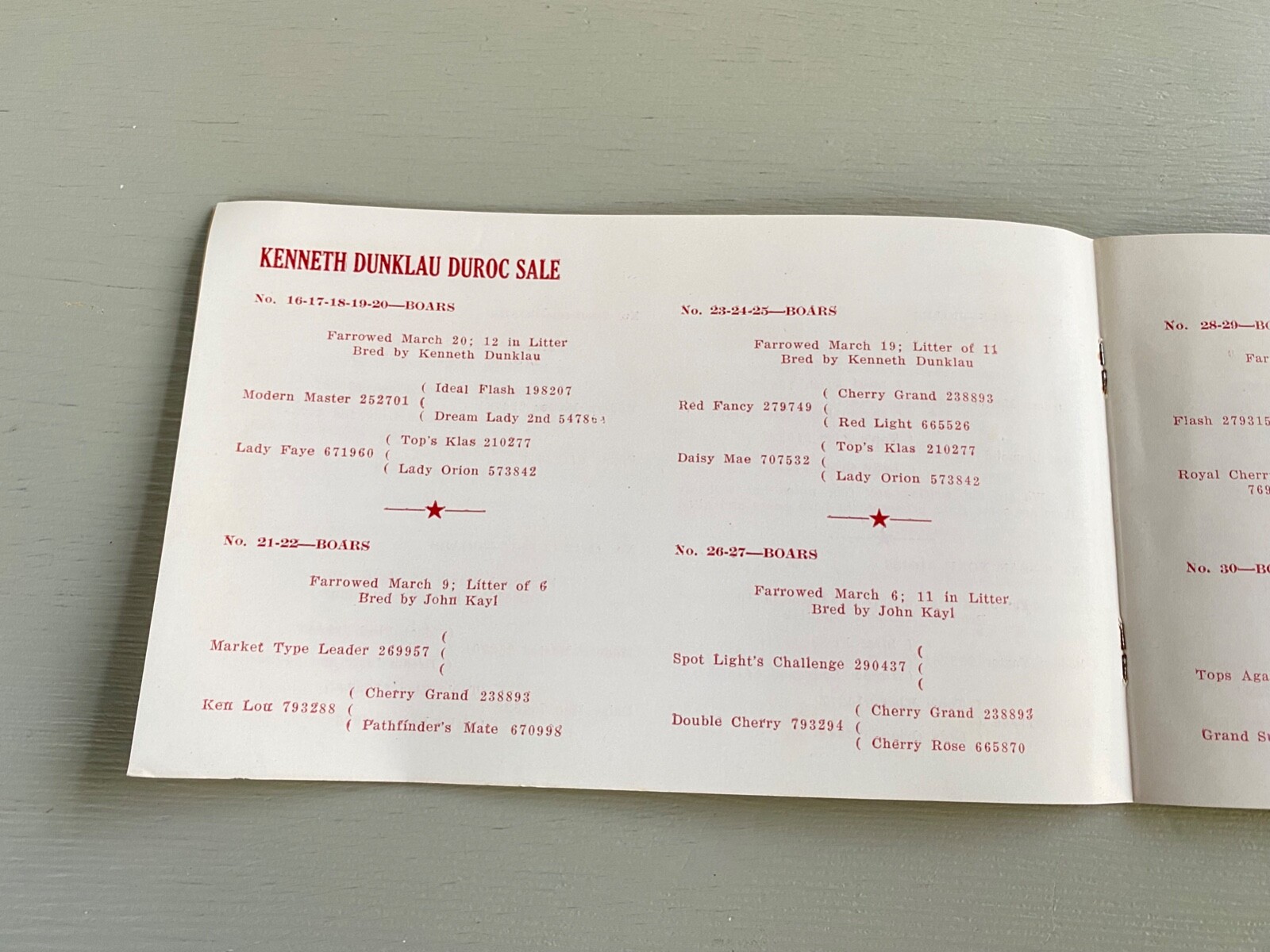 Vintage Durocs Boar Gilt Hogs Pigs Sale Catalog Book Wayne Nebraska 1947 Farm Ag
