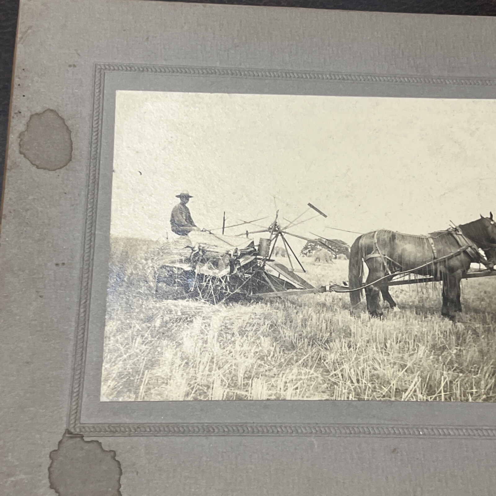 Vintage 1800s Farming Farm Implement Photograph