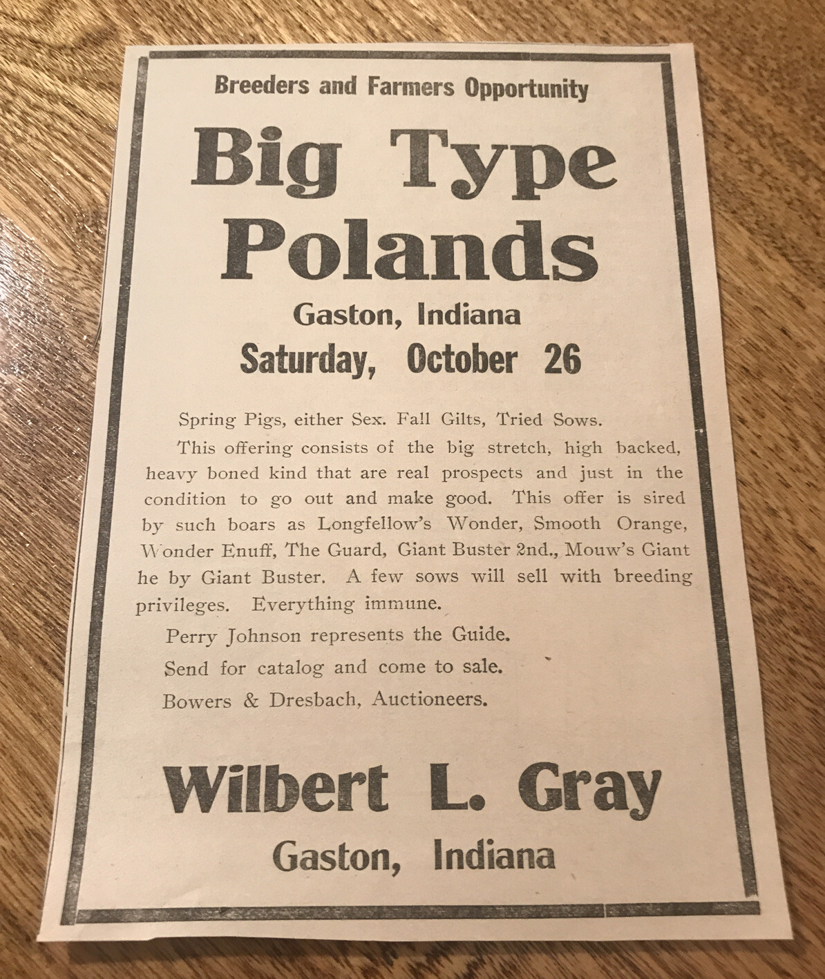 ORIGINAL 1918 Sow Public Sale – Gaston – Indiana – Farm Advertising – Hog Pig