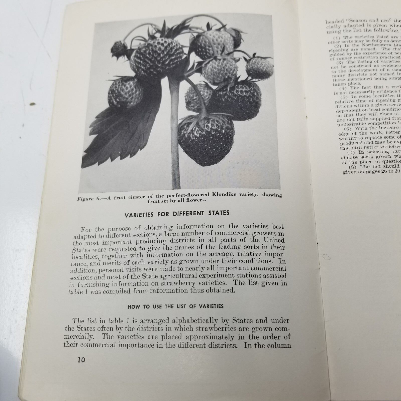 Strawberry Varieties USA 1948 Farmers’ Bulletin Booklet 1043 USDA Photos Charts