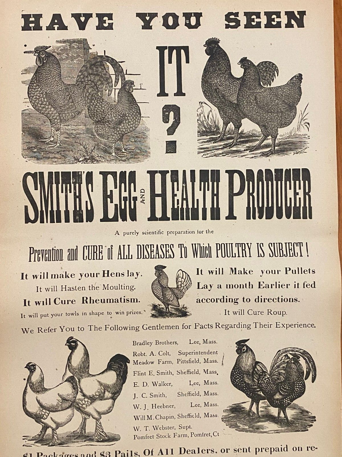 Antique 1900’s Dr.Smith’s Egg & Chicken Broadside Poster Sign, Lee, MASS Kitchen
