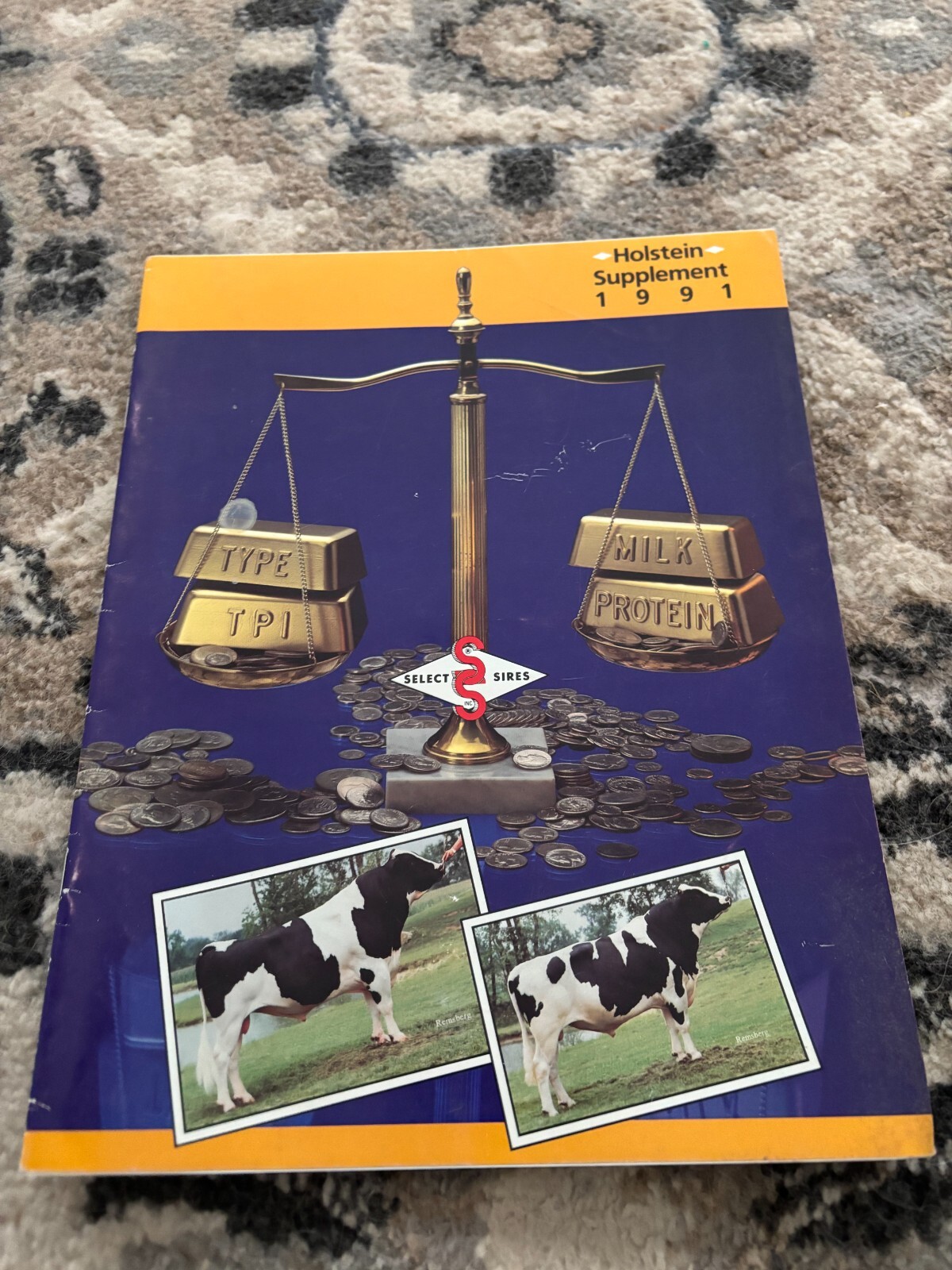 Select Sires Holstein Sire Supplement For 1991 Brochure FCCA25