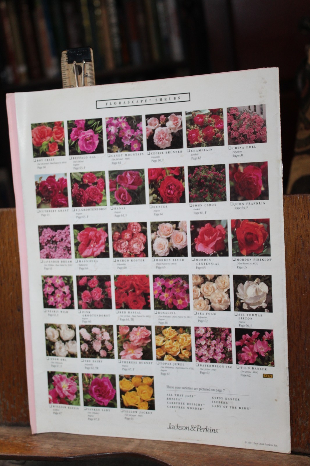 Vintage Gardening Brochure 1998 Jackson & Perkins Rose Index