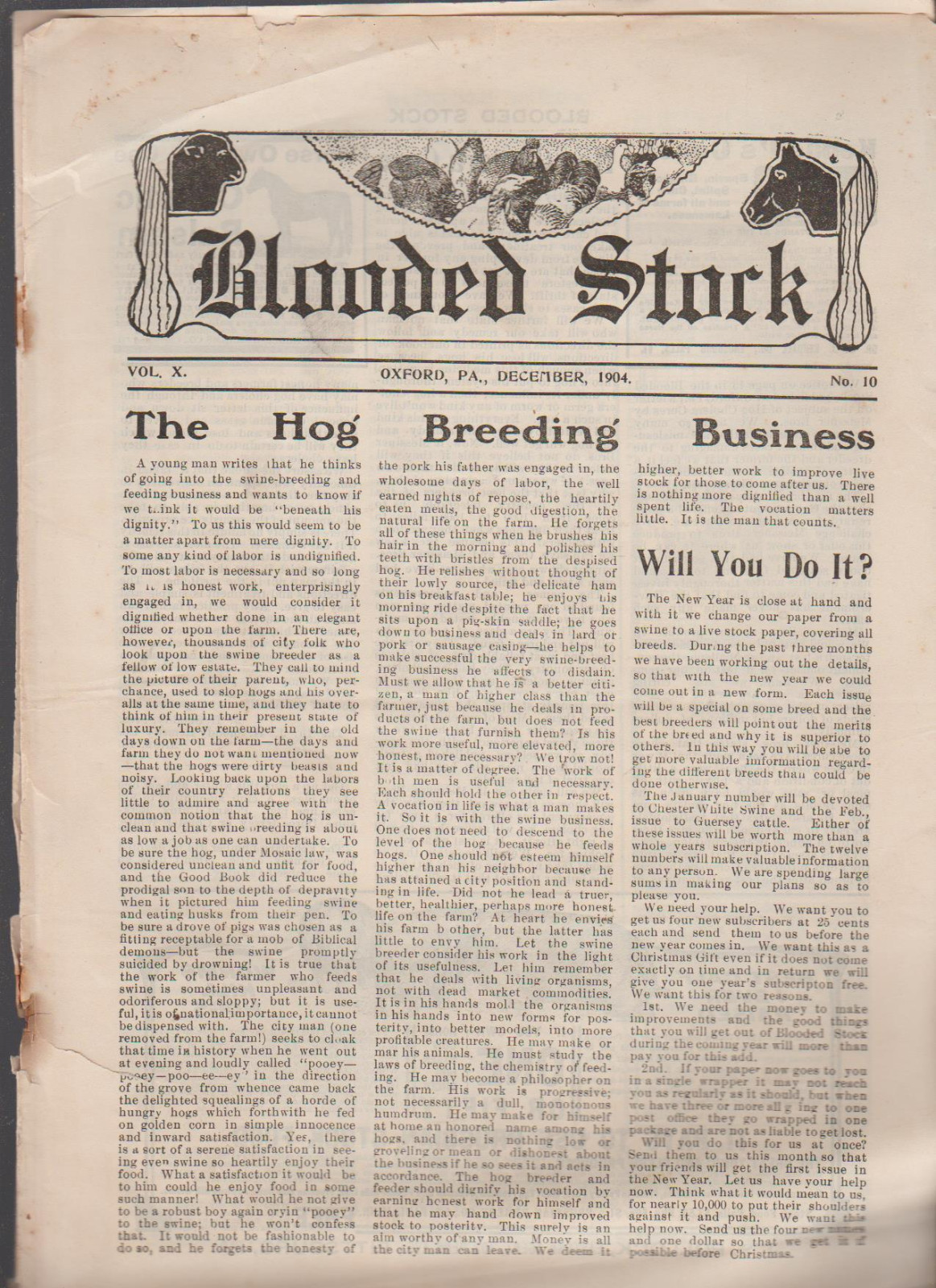 Blooded Stock Magazine December 1904 Oxford Pa Hog Breeding Business