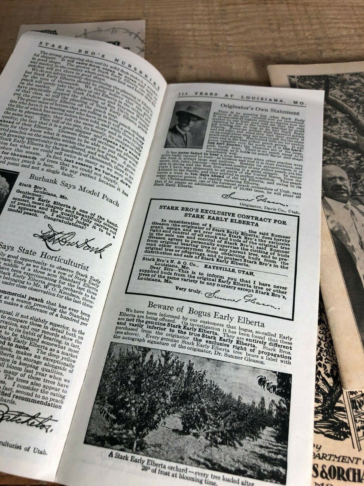4 Vintage 1930s Stark Bro’s Nurseries Orchard Fruit Trees Brochures Catalogs