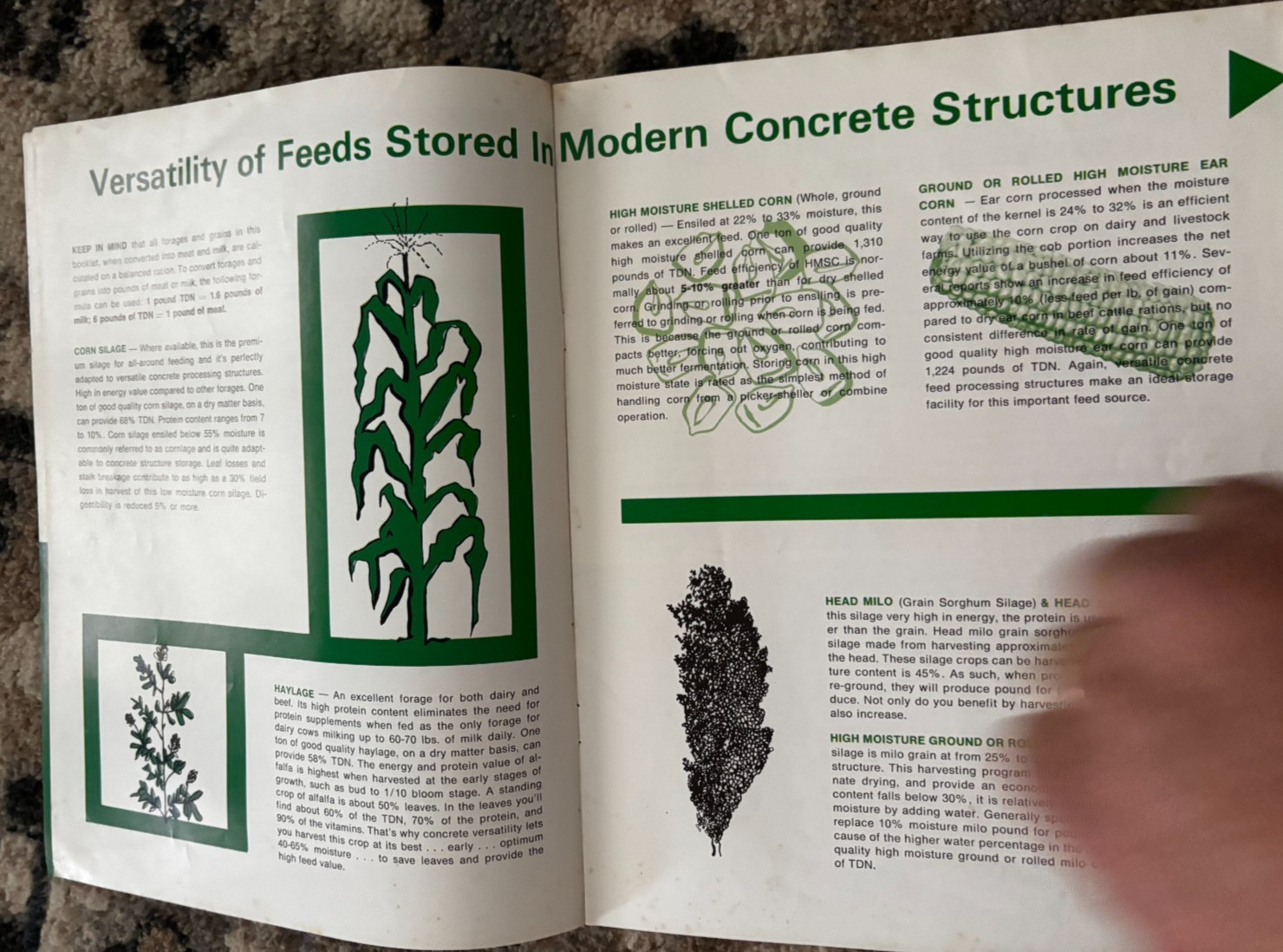 Concrete Silos & Versatility For 1972 Brochure DCPA26