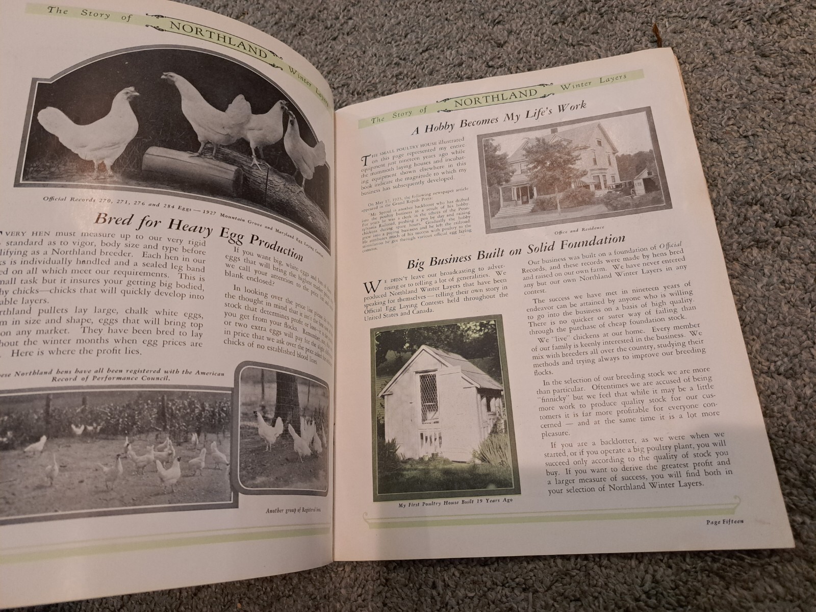 1928 Northland Winter Layers Poultry Catalog Chickens