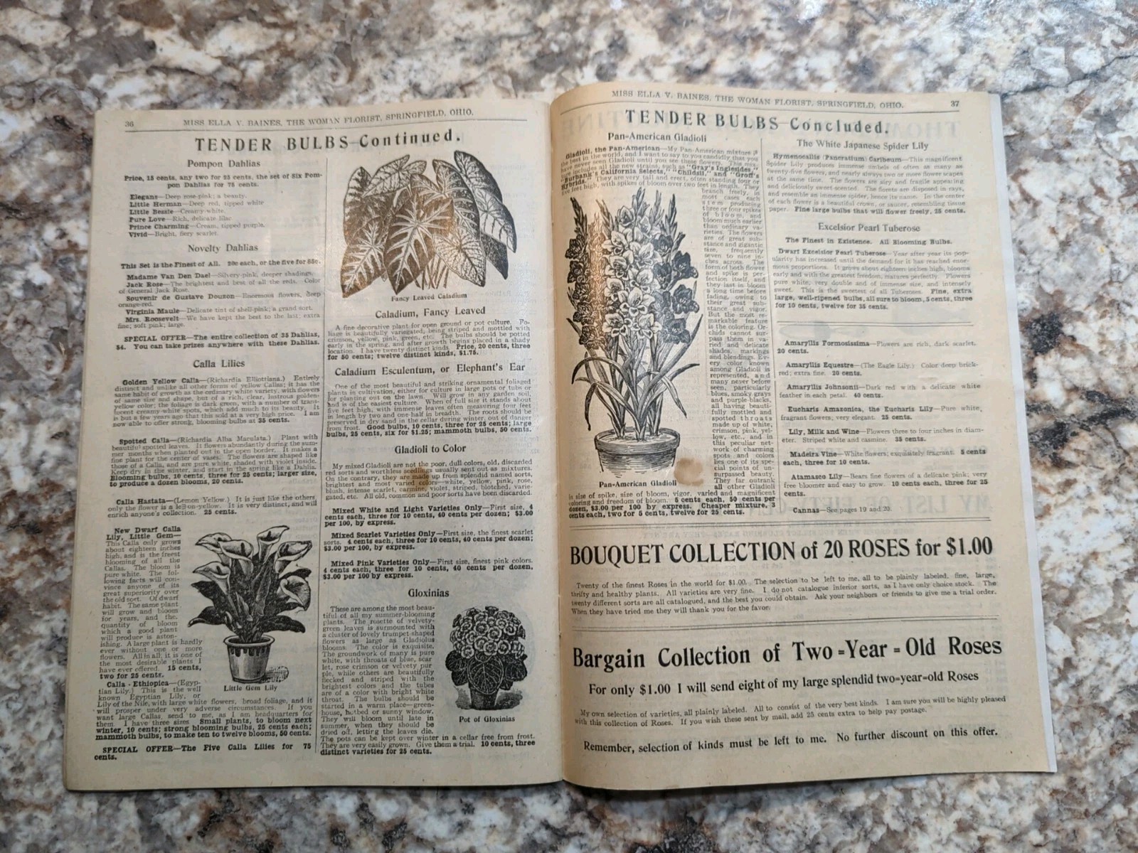1910 The Woman Florist, Miss Ella V Baines Spring Illustrated Catalogue