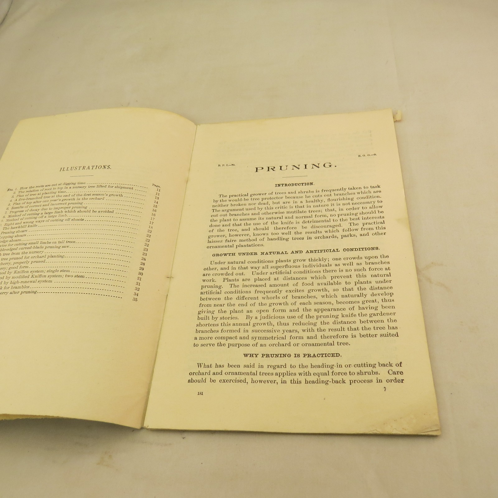 US Department of Agriculture, Farmers’ Bulletin No. 181 Pruning – 1916