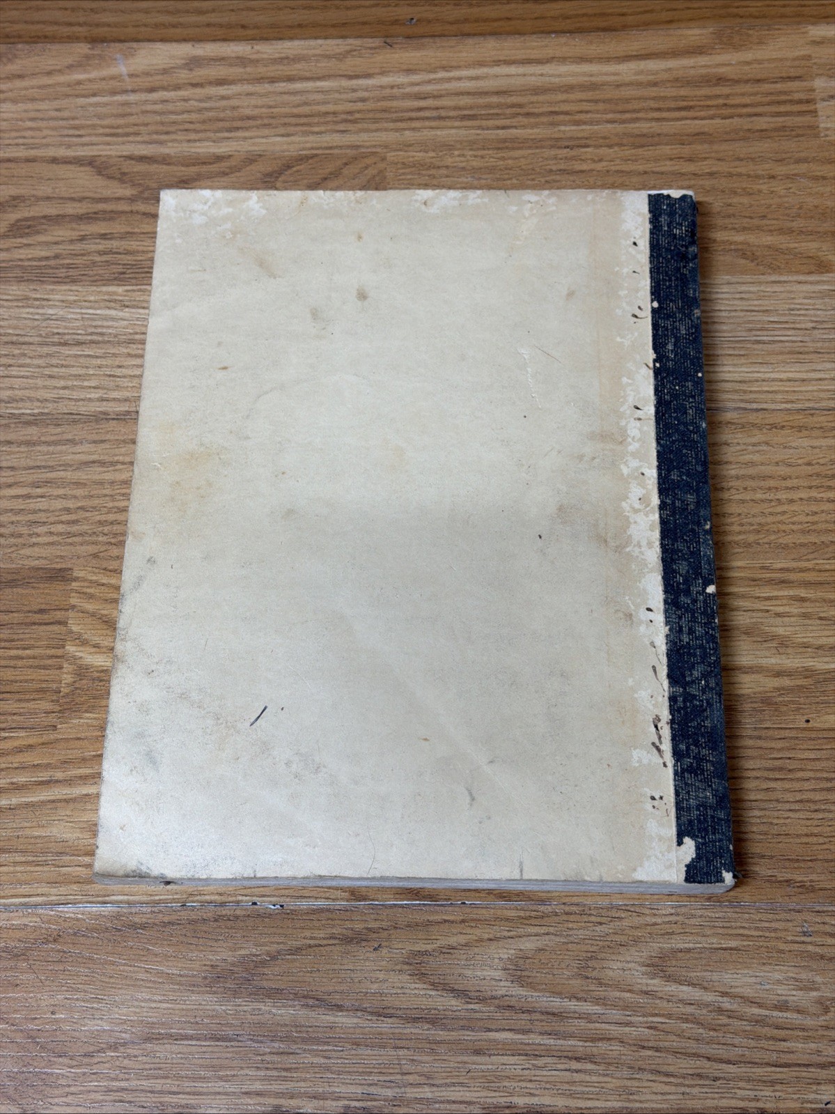 1979 State Of FL Dept Of Environmental Regulation Guide To Wetland Plants Manual