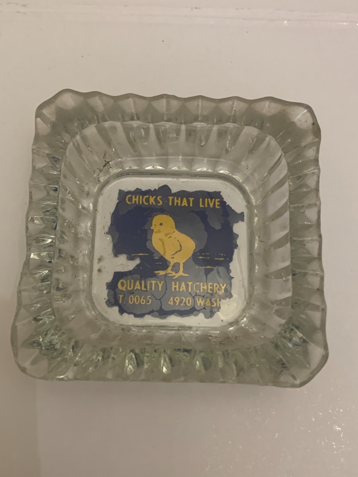 Vintage Chicks That Live Quality Hatchery Glass Ashtray