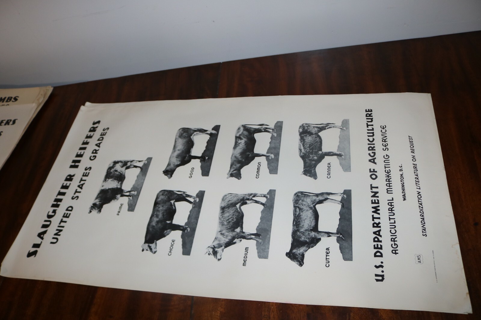 RARE new old stock orig 1940 Large USDA Heifer slaughter grade poster chart sign
