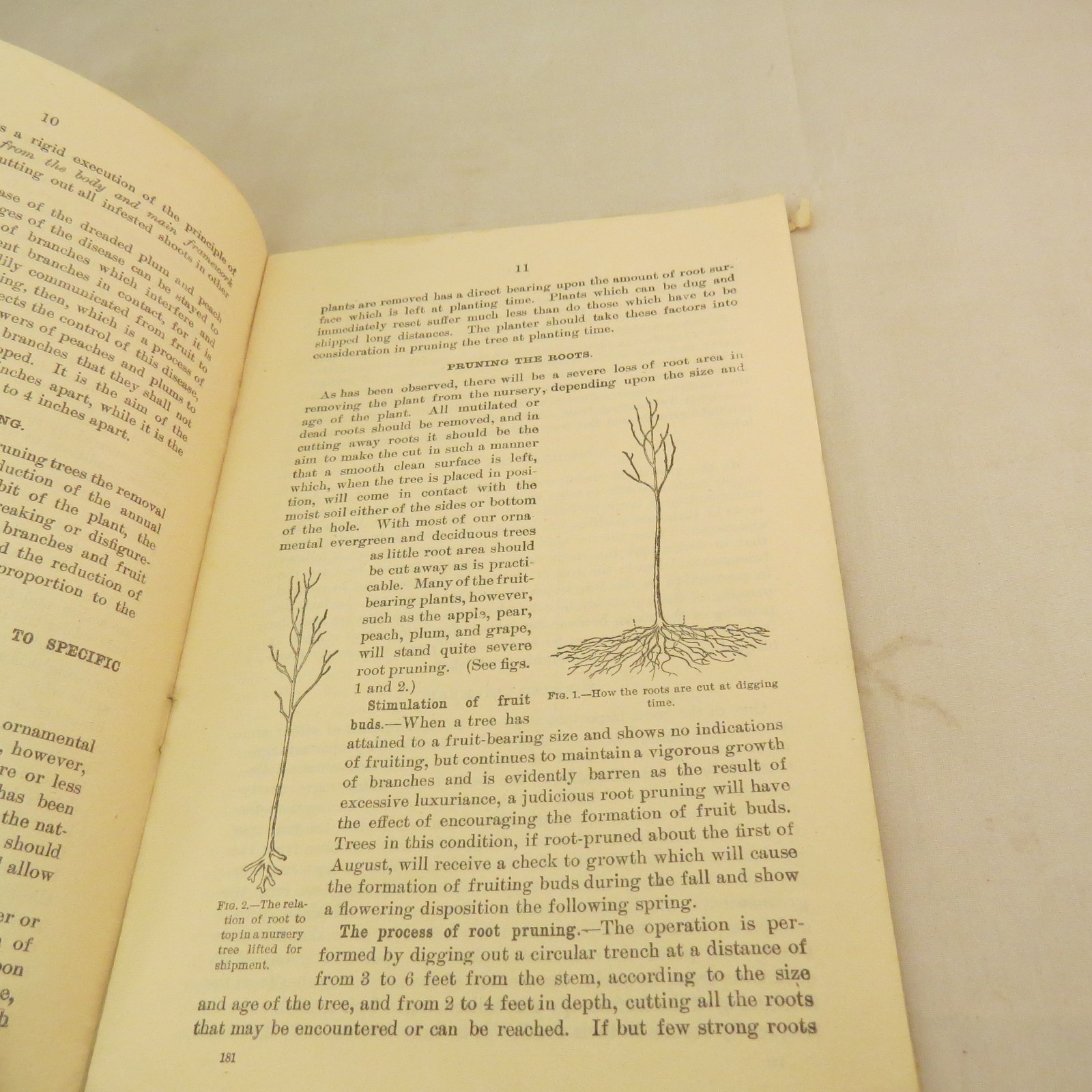 US Department of Agriculture, Farmers’ Bulletin No. 181 Pruning – 1916