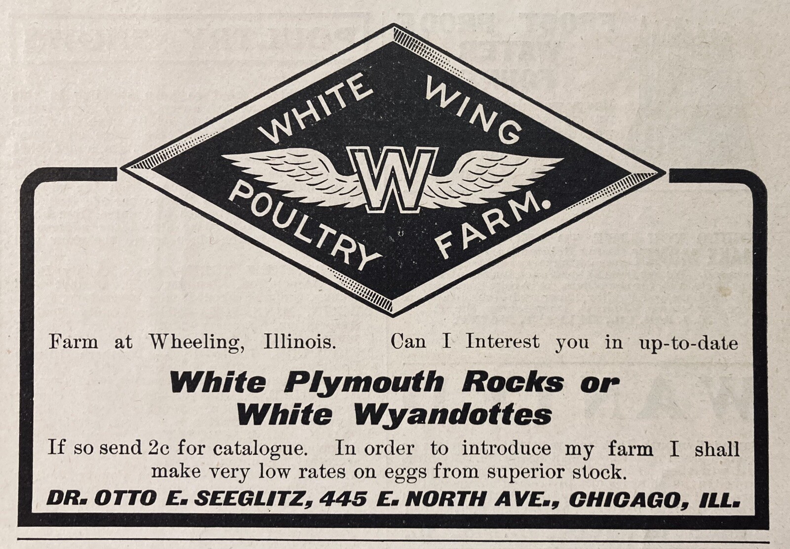 1903 AD.(XH63)~WHITE WING POULTRY FARM, WHEELING, ILL. ROCKS AND WYANDOTTES