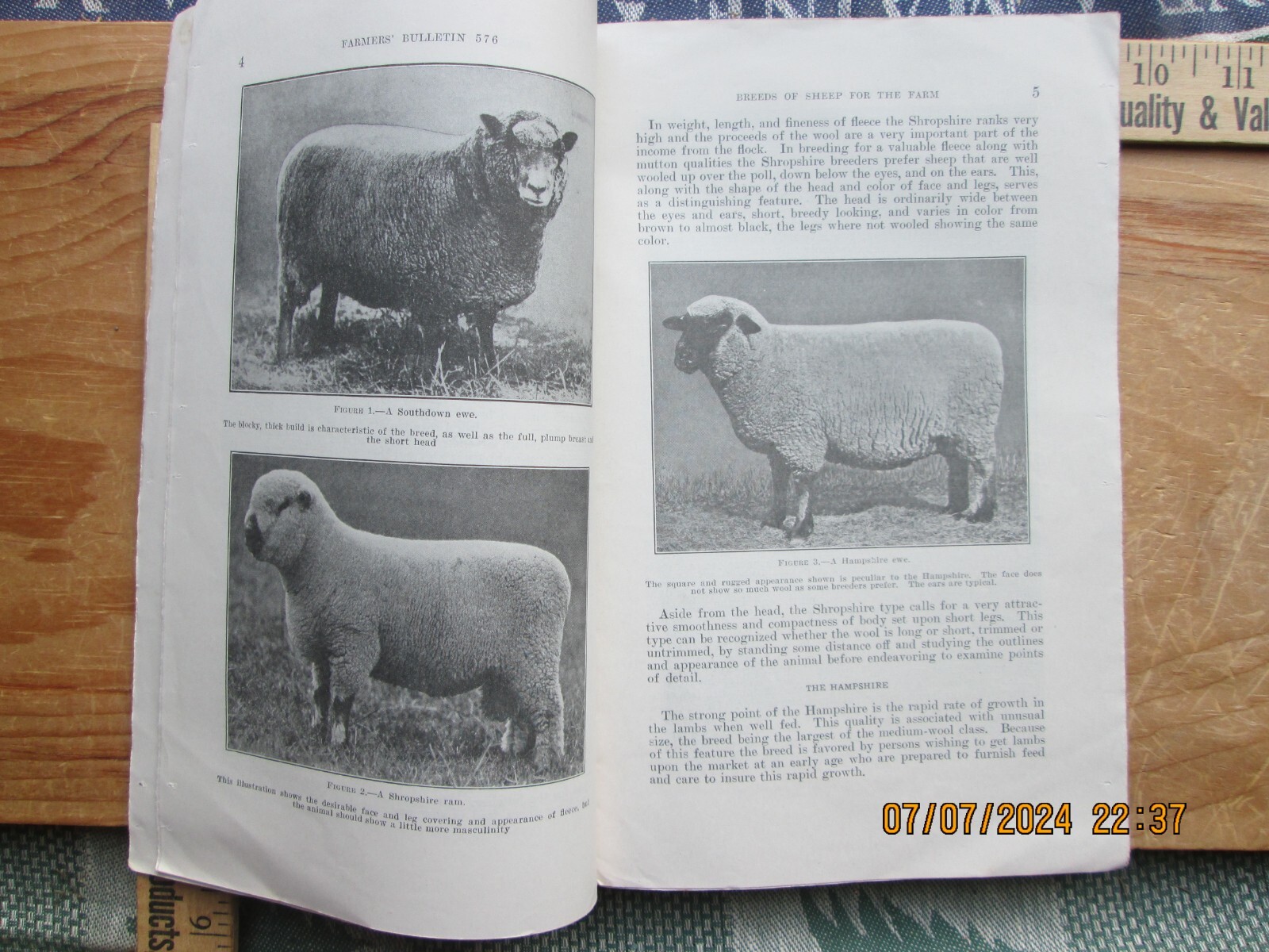1940 Breeds of sheep for the farm US Department of Agriculture number 576
