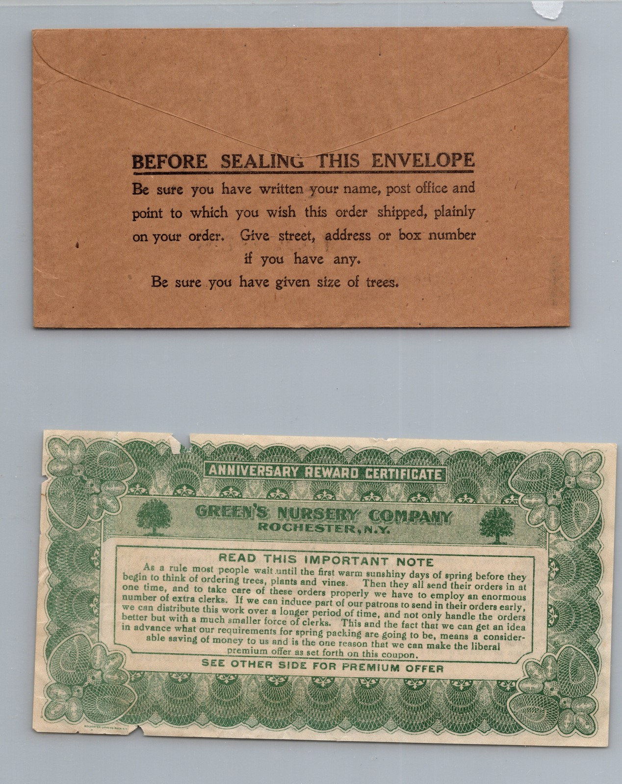 1917 Green’s Nursery Co. Rochester New York Reward Coupon Advertisement Mail
