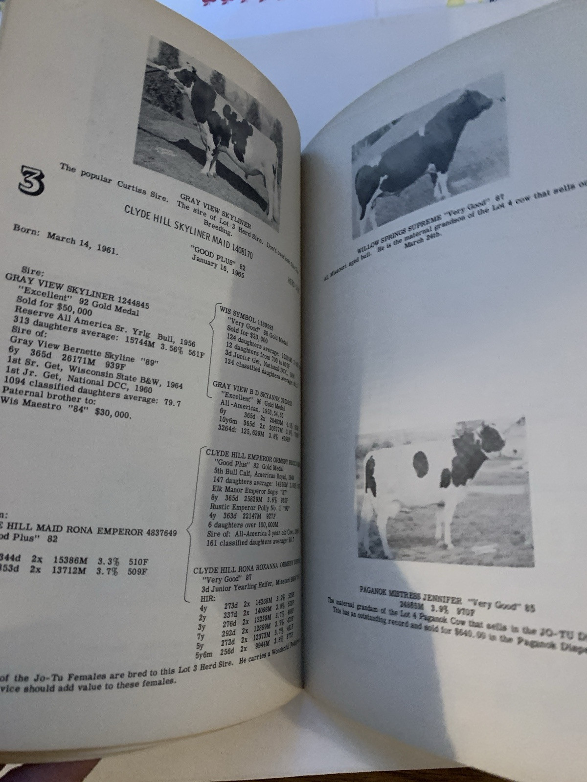 1965 Holstein Cattle Auction Catalog St. Joseph MO Jones & Turner Family