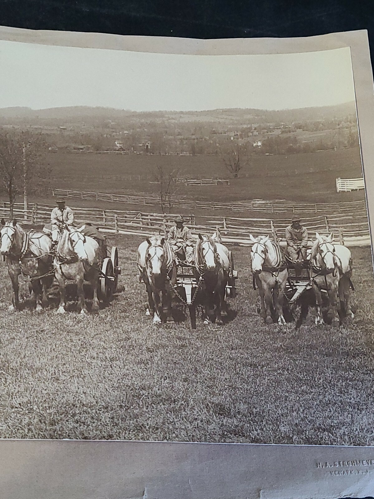 Vintage 1800s 5 Farmers & Horse Wagons Photo Newark NJ